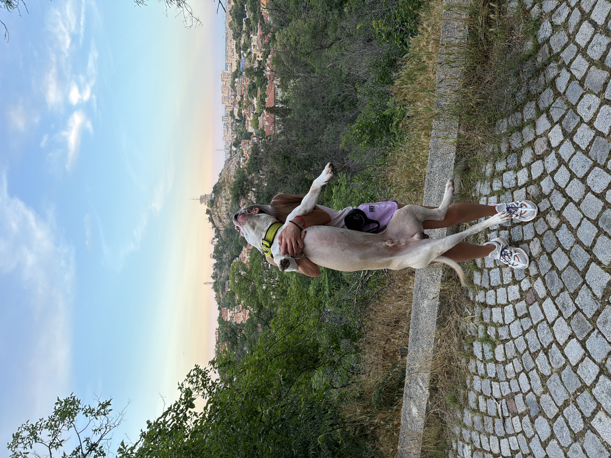 The image depicts a young woman in Plovdiv, Bulgaria, holding a large, white dog. The woman is wearing purple shorts and white sneakers. The dog is light-colored with a yellow collar. They are positioned on a cobblestone path with a lush green hillside and a cityscape in the background. Prominently visible in the cityscape is the distinctive television tower atop the Nebet Tepe hill, a landmark in Plovdiv. The sky is a soft blue with scattered clouds, suggesting it is either early morning or late afternoon. The scene is set amidst trees and vegetation, overlooking the residential and urban landscape of the city.