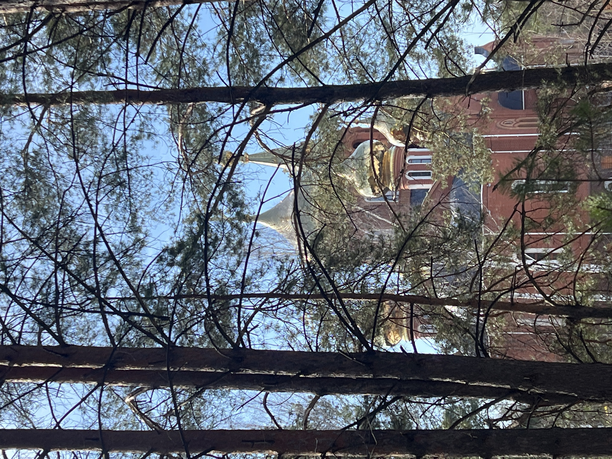 The image shows a building with a golden dome, likely an Orthodox church, viewed from a low angle through a dense screen of bare tree branches. The building has a red brick facade with white window frames and decorative architectural details. The sky is visible through the branches, suggesting a clear day. The scene appears to be located in a wooded area, given the number and density of the trees. No people are visible. Given the architectural style and reference to the location being Chaikovsky, Russia, it's likely that the building is an Orthodox church located in or near a wooded area of the city.