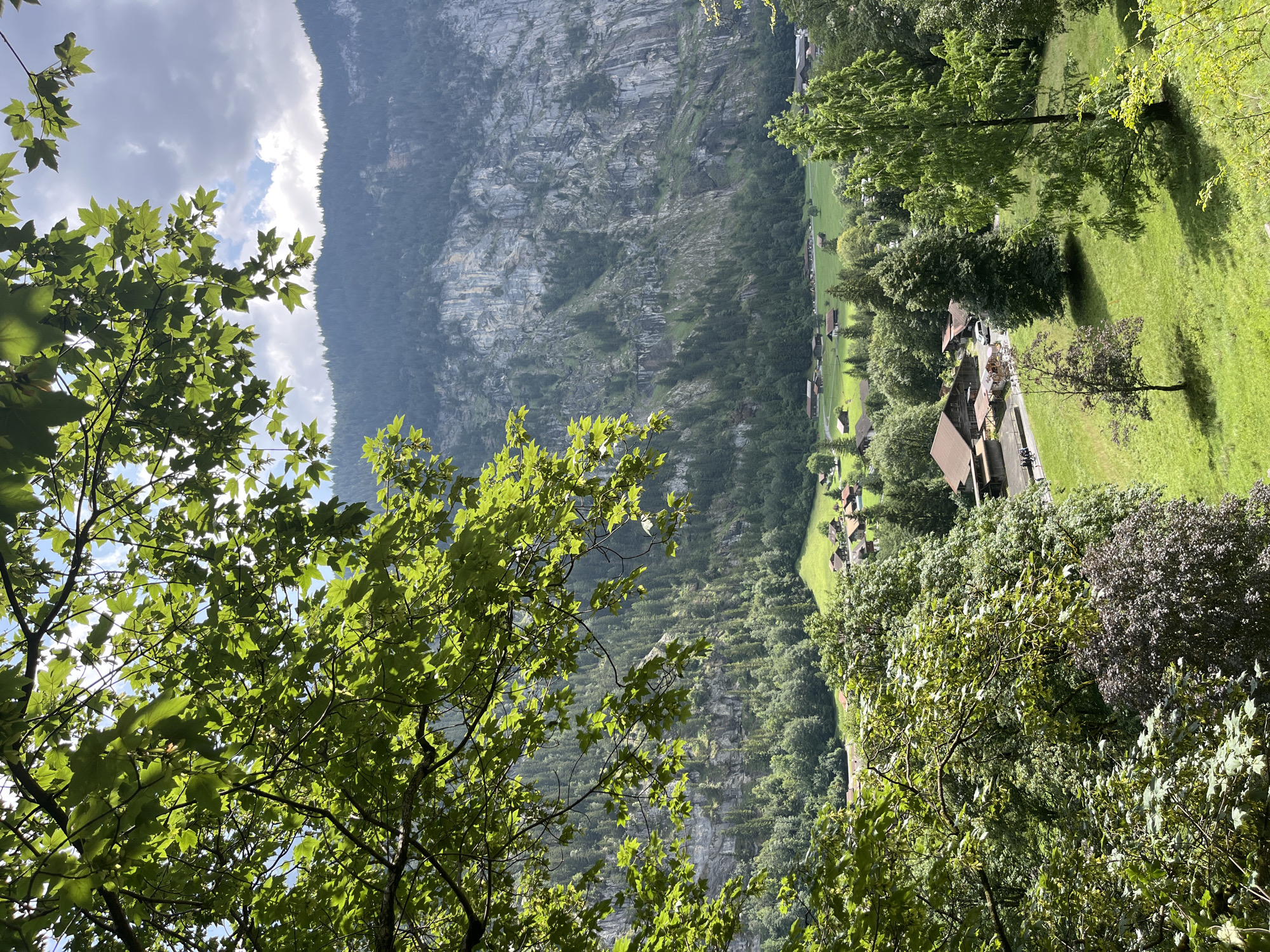 This is a vertical, eye-level, medium shot captured on a sunny day in Wengen, Switzerland. The foreground is dominated by lush green tree branches, some of which are in sharp focus and others that are blurred, with sunlight filtering through the leaves. These branches partially obscure the view of the scene beyond.
In the mid-ground, a small village is nestled in a valley. Several traditional Swiss chalets with brown roofs are visible, surrounded by vibrant green meadows. A road runs through the village, and a white van is parked on it. A few people can be seen walking along the road.
The background features a majestic, sheer grey rock face of a mountain. The mountain is covered in dense green coniferous trees that climb up its slopes. The top of the mountain is shrouded in a mix of clouds and sunlight, indicating fair weather. The overall impression is one of a serene and picturesque alpine landscape.