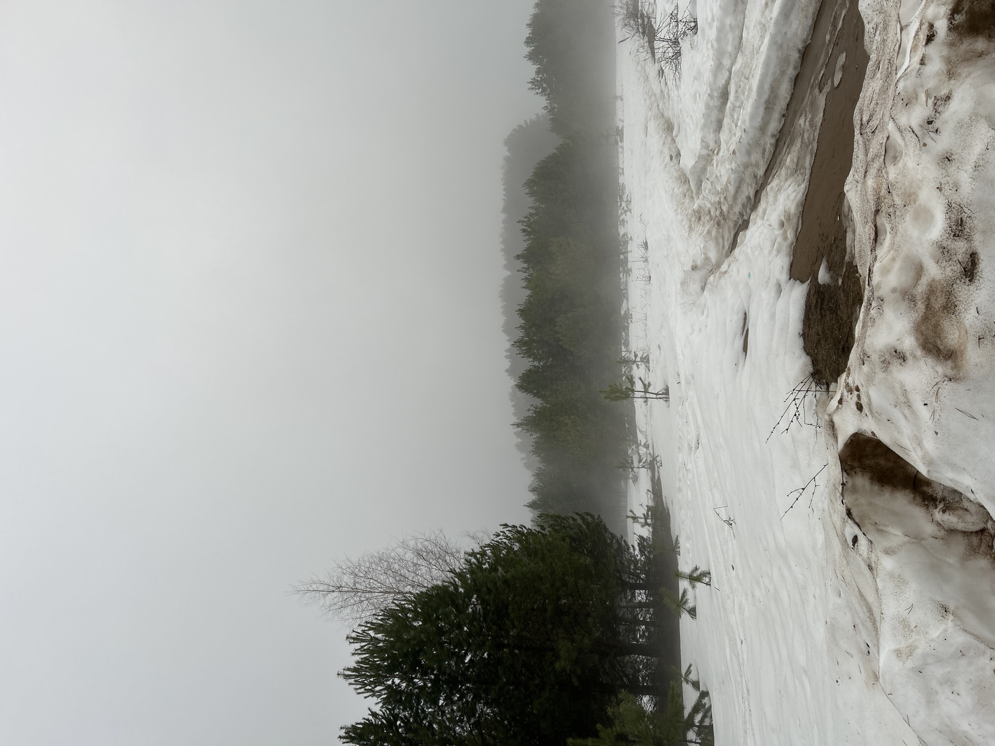 The photograph depicts a winter landscape, possibly near Chaikovsky, Russia. A line of evergreen trees borders a snowy ground. The scene is shrouded in heavy fog or mist, obscuring the background and horizon. Patches of dirt and melting snow are visible on the ground. No people are visible in the image.