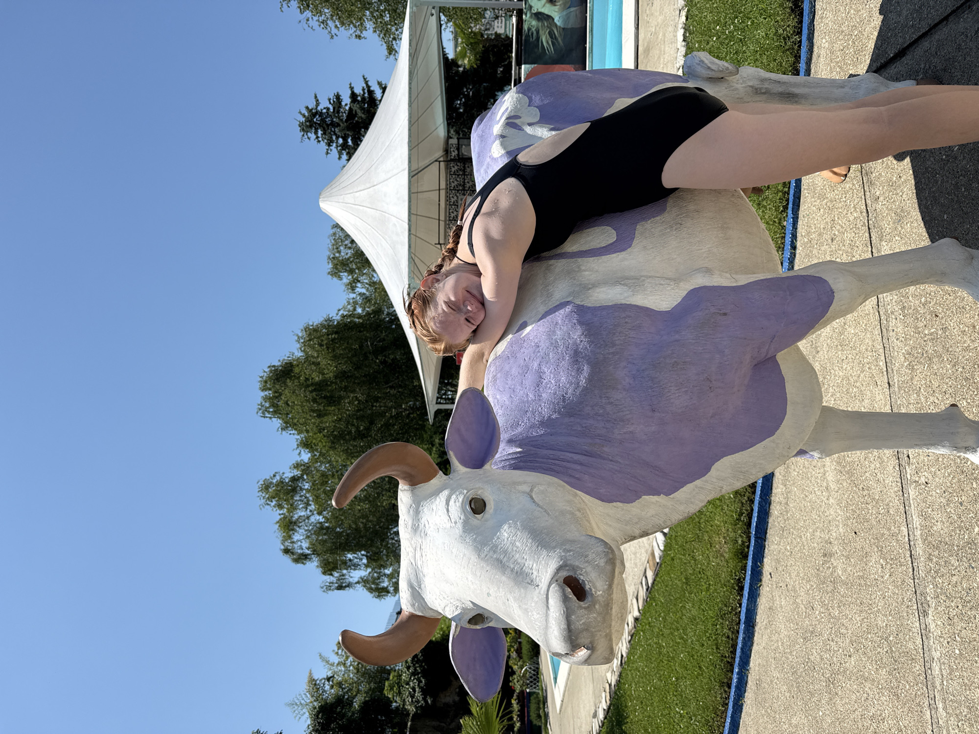 The image depicts a young Caucasian girl with red hair, wearing a black one-piece swimsuit, hugging a large, colorful statue of a cow. The cow statue is predominantly white with large purple splotches. The girl is lying on her side, resting her head on the cow's back and smiling. They are positioned on a paved surface, with a grassy area and a swimming pool visible in the background. A white, tent-like structure is also present. The environment suggests an outdoor recreational area, possibly a water park or a tourist attraction. The sky is clear and blue, indicating a sunny day. The location of Nebug, Russia, is a resort town on the Black Sea coast, known for its beaches and water parks. This scene likely captures a moment of leisure and fun in such a setting.