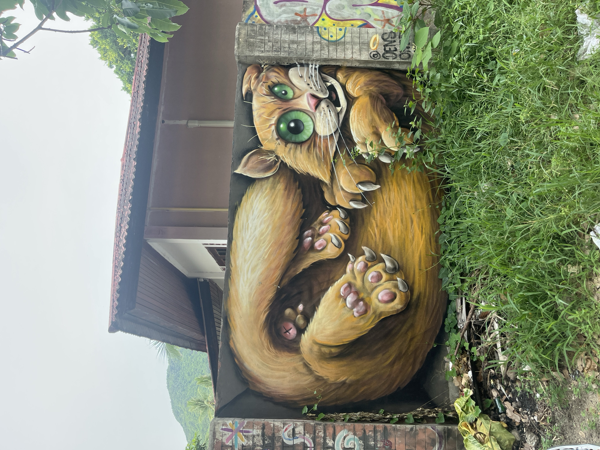 A vibrant, large-scale mural of a cartoon cat is painted on the side of a building in Ko Phangan, Thailand. The cat, predominantly orange with bright green eyes, is depicted curled up, filling a recessed portion of the wall. Its paws, with pink toe pads and sharp claws, are prominently featured. The mural is partially obscured by overgrown green grass and foliage in the foreground. In the background, a residential building with a reddish-brown tiled roof is visible, along with lush green hills and trees, suggesting a tropical or subtropical environment. The wall to the right of the cat mural shows remnants of graffiti. The sky is overcast.