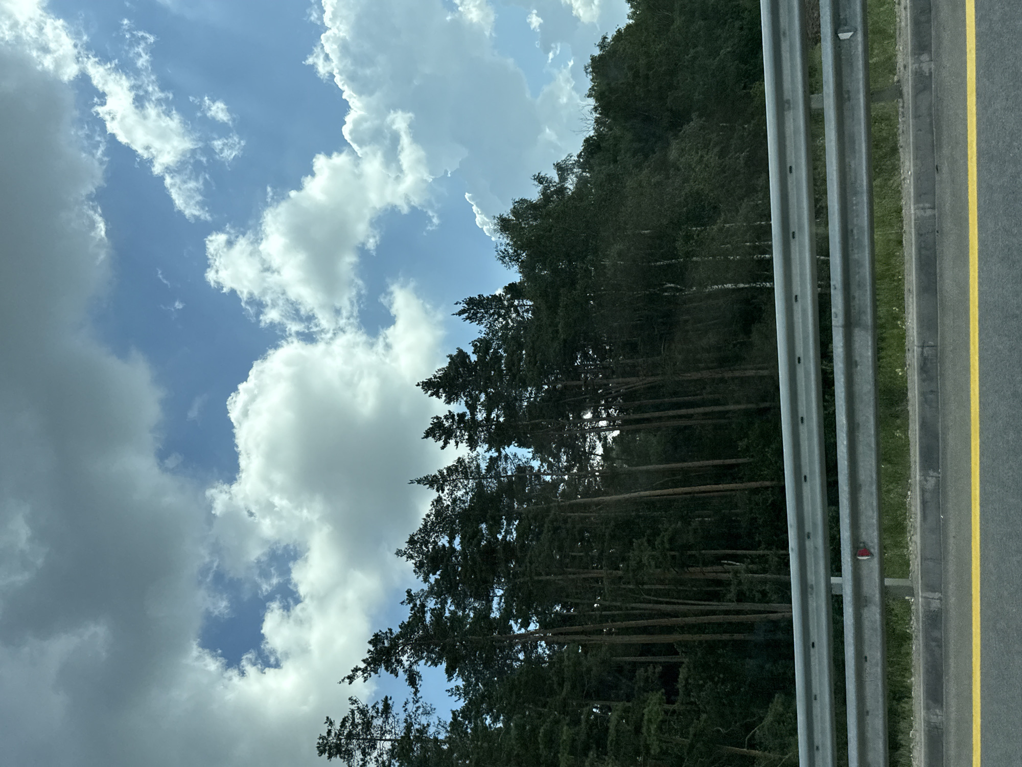 The image depicts a roadside view with a forest on the right and a cloudy sky above. In the foreground, a yellow line is visible on a dark asphalt road. Behind the road, there's a concrete curb and a metal guardrail. The guardrail is composed of two horizontal bars supported by vertical posts. A red reflector is attached to the lower bar of the guardrail. Beyond the guardrail, a dense forest of tall, slender trees with dark green foliage stretches across the frame. The sky is filled with a mix of large, puffy white clouds and areas of blue sky. The overall impression is a scenic view from a moving vehicle on a highway.