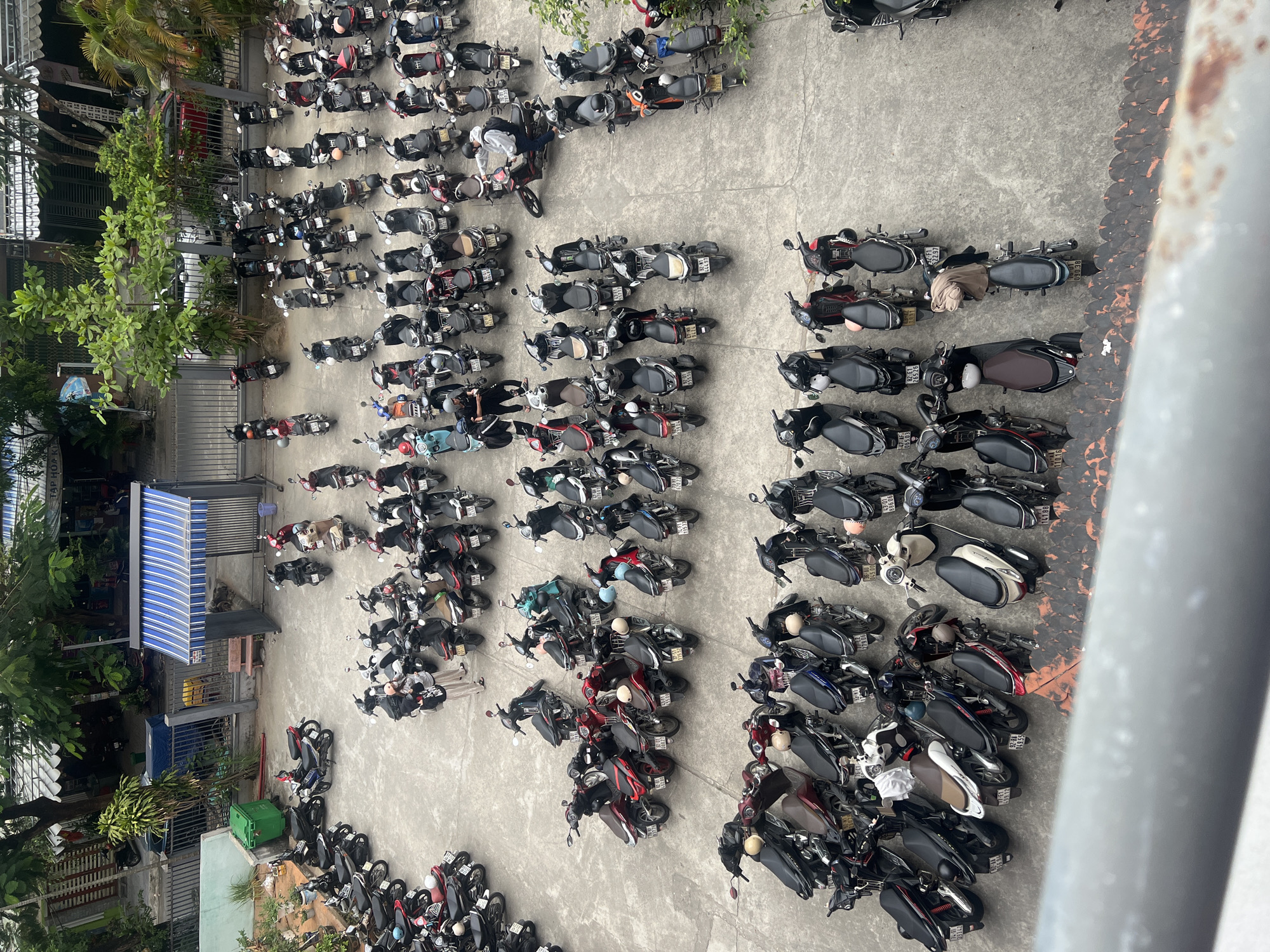 This overhead shot captures a large, paved outdoor parking area densely packed with hundreds of motorbikes in Đà Nẵng, Vietnam. The scene is brightly lit by daylight, suggesting morning or early afternoon, with clear weather conditions.
The primary subjects are the numerous motorbikes, featuring a wide variety of models and colors, including black, white, red, blue, and grey. Many bikes have helmets resting on seats or hanging from handlebars. Visible Vietnamese license plates, such as "43E1", "92L9", "26269", "59355", and "08633", are present on many vehicles, confirming the Vietnamese setting.
Several people are interspersed among the vehicles. One individual in a white shirt and dark pants is seated on a motorbike in the upper-middle section, while others are seen standing or moving around, suggesting activities like arriving, departing, or waiting.
To the left of the parking area, lush green trees and foliage are prominent, alongside parts of buildings. One building features a distinctive blue and white striped awning, beneath which "CÀ PHÊ HOÀ" is partially visible, indicating a coffee shop. A large, rectangular green plastic crate is situated on the ground near the trees. On the far right, a grey structural element frames the image, indicating an elevated vantage point from which the photo was taken. The overall setting depicts a bustling urban or semi-urban environment, characteristic of daily life in Đà Nẵng.