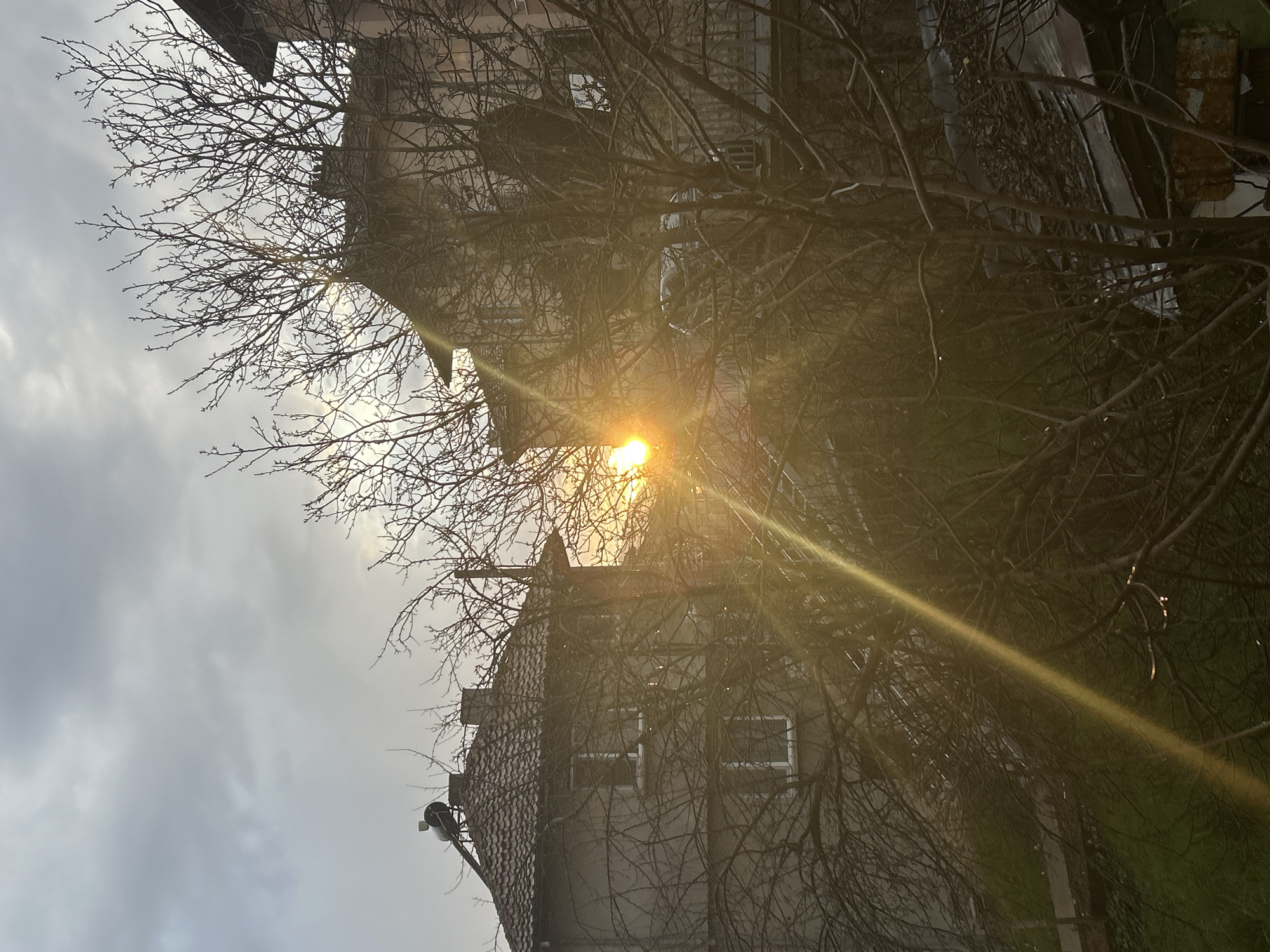 A low-angle shot captures a building façade in Zlatograd, Bulgaria, partially obscured by bare tree branches. The building's exterior is light gray, with windows visible, and covered with leafless vines. The sun is positioned behind the building, creating a bright glare and radiating light beams. The sky is overcast with gray clouds. The overall setting is urban.