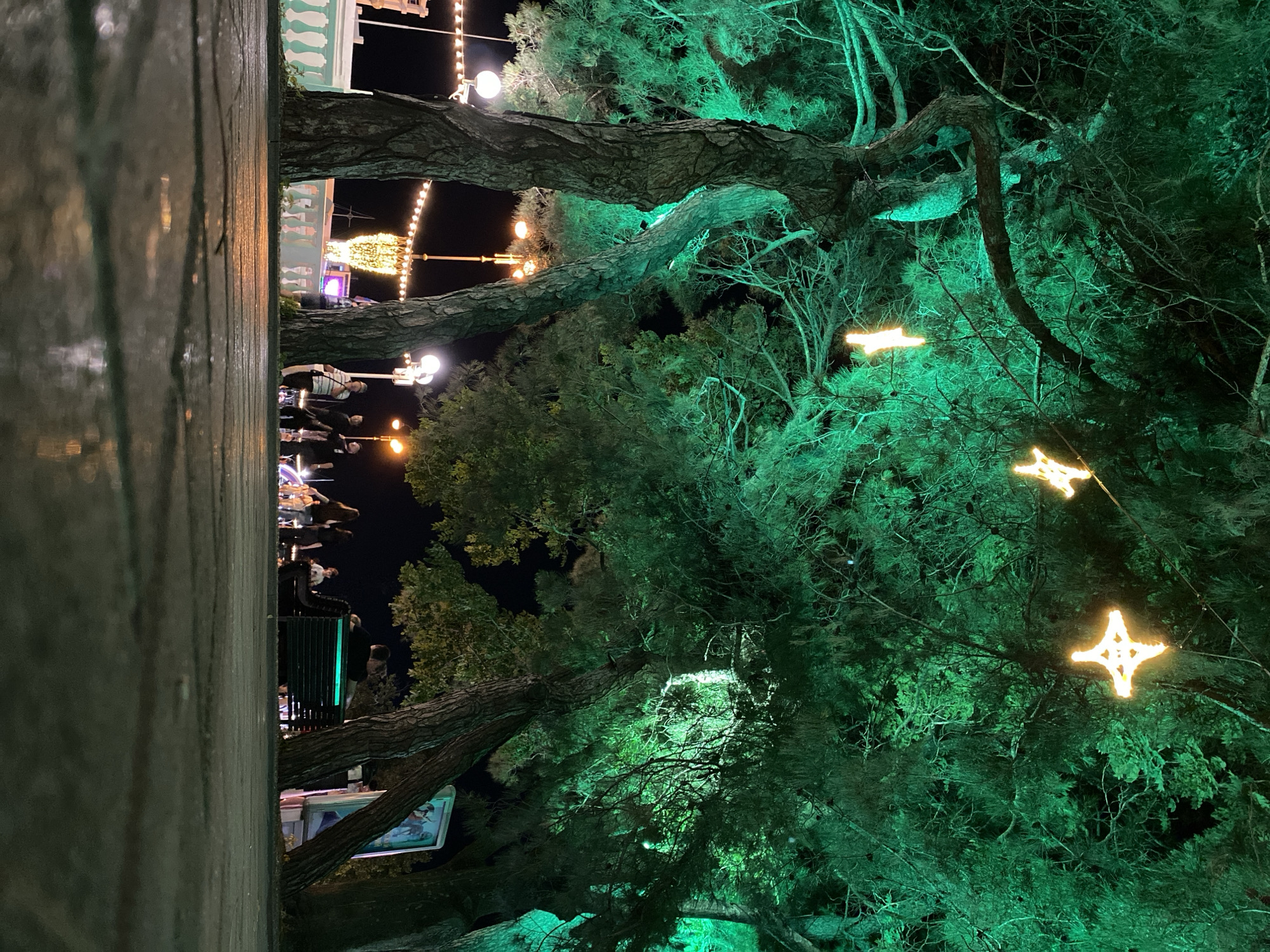 The image depicts an outdoor scene at night, illuminated by festive lights. In the foreground, a wooden surface runs along the left side of the frame. Behind it, a large tree trunk with textured bark is prominent, extending upwards and to the right. The tree is partially covered in green lighting, casting an eerie glow.
Further into the scene, string lights with yellow bulbs are visible, some in a garland formation. Two star-shaped ornaments made of lights are also suspended among the branches, glowing brightly. The background reveals glimpses of a building with decorative trim and more string lights.
There are a few people visible, scattered throughout the scene. On the left, a group of individuals appear to be standing near a railing, some wearing dark clothing. Another person, wearing a white shirt and dark pants, is also visible. In the distance, a brightly lit Christmas tree stands, suggesting a holiday event or celebration. The overall atmosphere is festive, with the night setting and colorful lights contributing to a cheerful mood. The presence of trees and what appears to be a walkway suggests a park or public gathering space. The lighting is artificial and varied, with the dominant green light on the tree creating a unique visual effect. No visible text is present in the image.