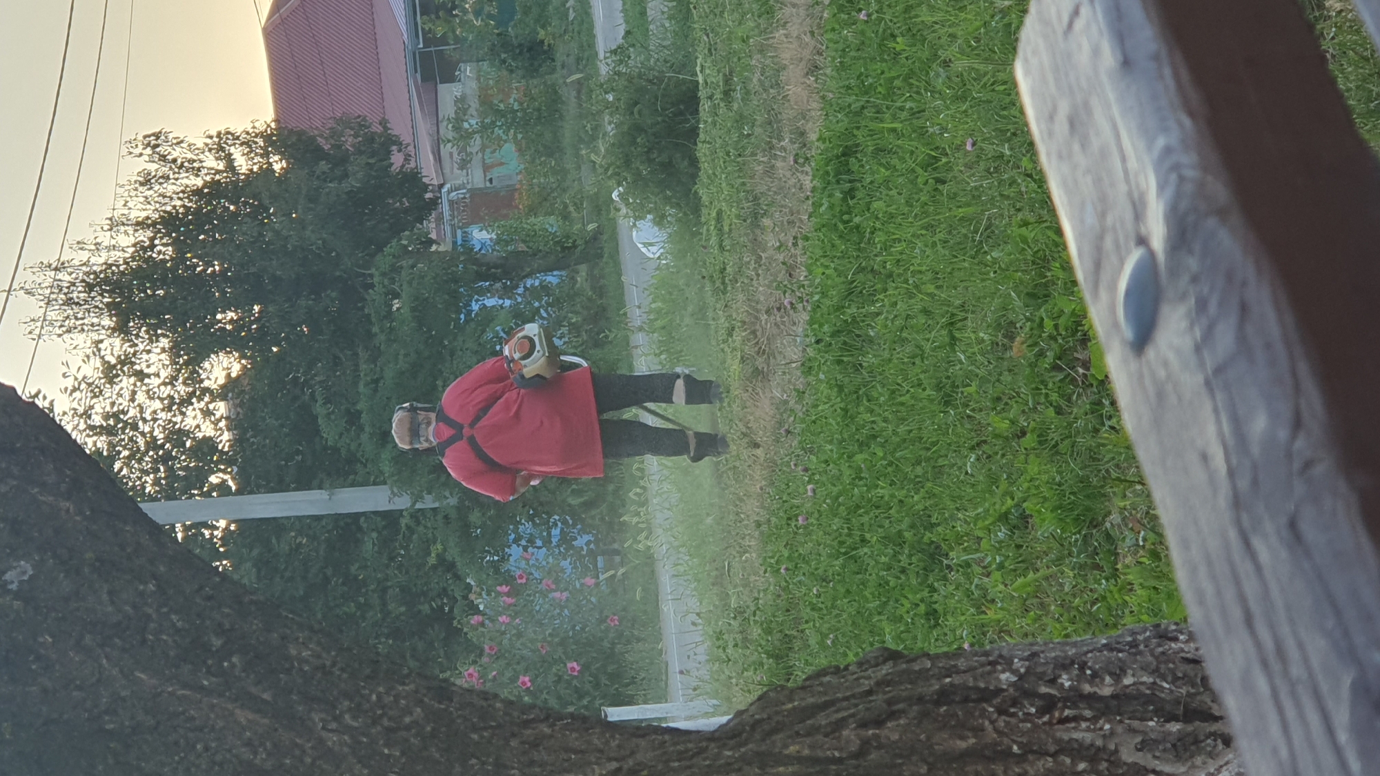 The image depicts a person from behind, using a string trimmer to cut grass in a yard. The person is wearing a red t-shirt with black straps over their shoulders, black pants, and black boots. They have on ear protection. The trimmer is a gasoline-powered model with a yellow and white casing. Behind the person, there is a tree on the left, a light pole and more trees and vegetation in the mid-ground. A red-roofed building is visible on the right. The scene appears to be outdoors in a residential area. The lighting suggests it is either early morning or late afternoon.