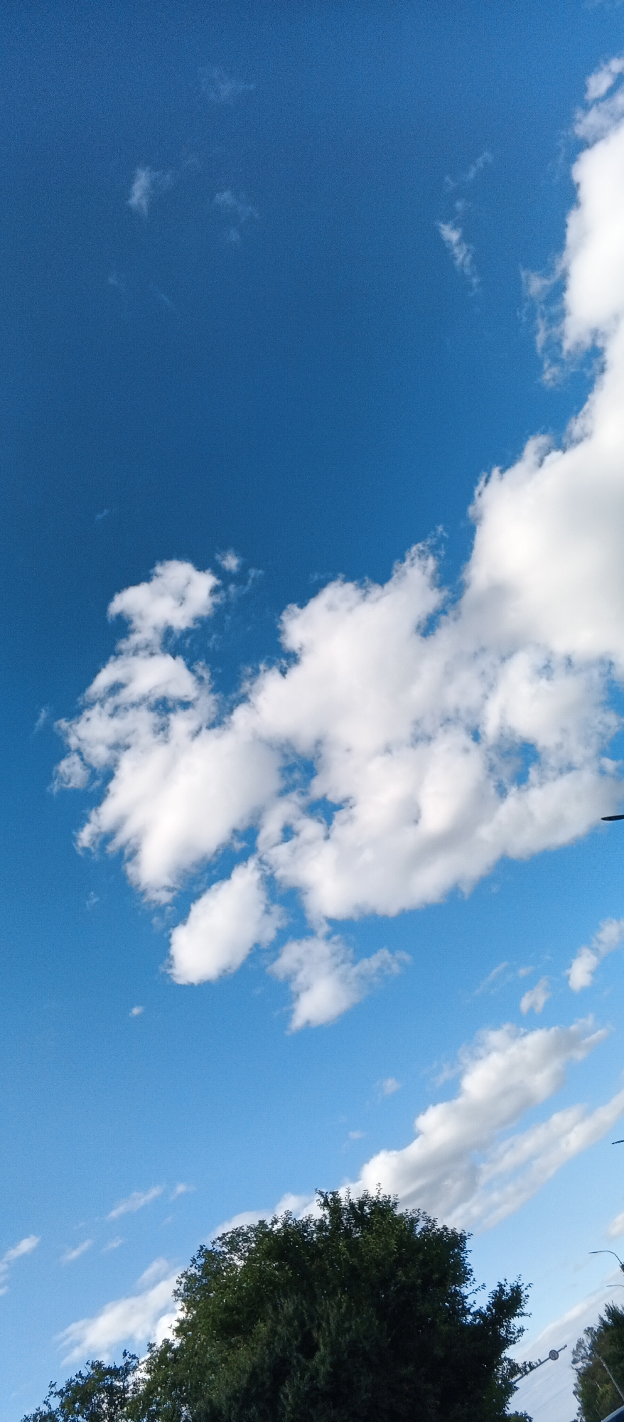 The image is a vertical, wide-angle photograph taken outdoors, likely in Ploske, Ukraine, on a bright, sunny day. The sky occupies the majority of the frame, a vivid blue with scattered white cumulus clouds. The clouds are dense and puffy in some areas, particularly in the upper right quadrant, and wispy and thin in others, stretching diagonally across the sky.
In the lower portion of the image, the top of a dense, dark green tree is visible, its foliage lush and full. Beyond the tree, hints of a cityscape can be seen, including what appears to be a streetlamp and possibly other trees or structures. The perspective suggests the photograph was taken from ground level, looking upwards towards the sky and tree canopy. The lighting indicates it is daytime, with the sun casting bright illumination.