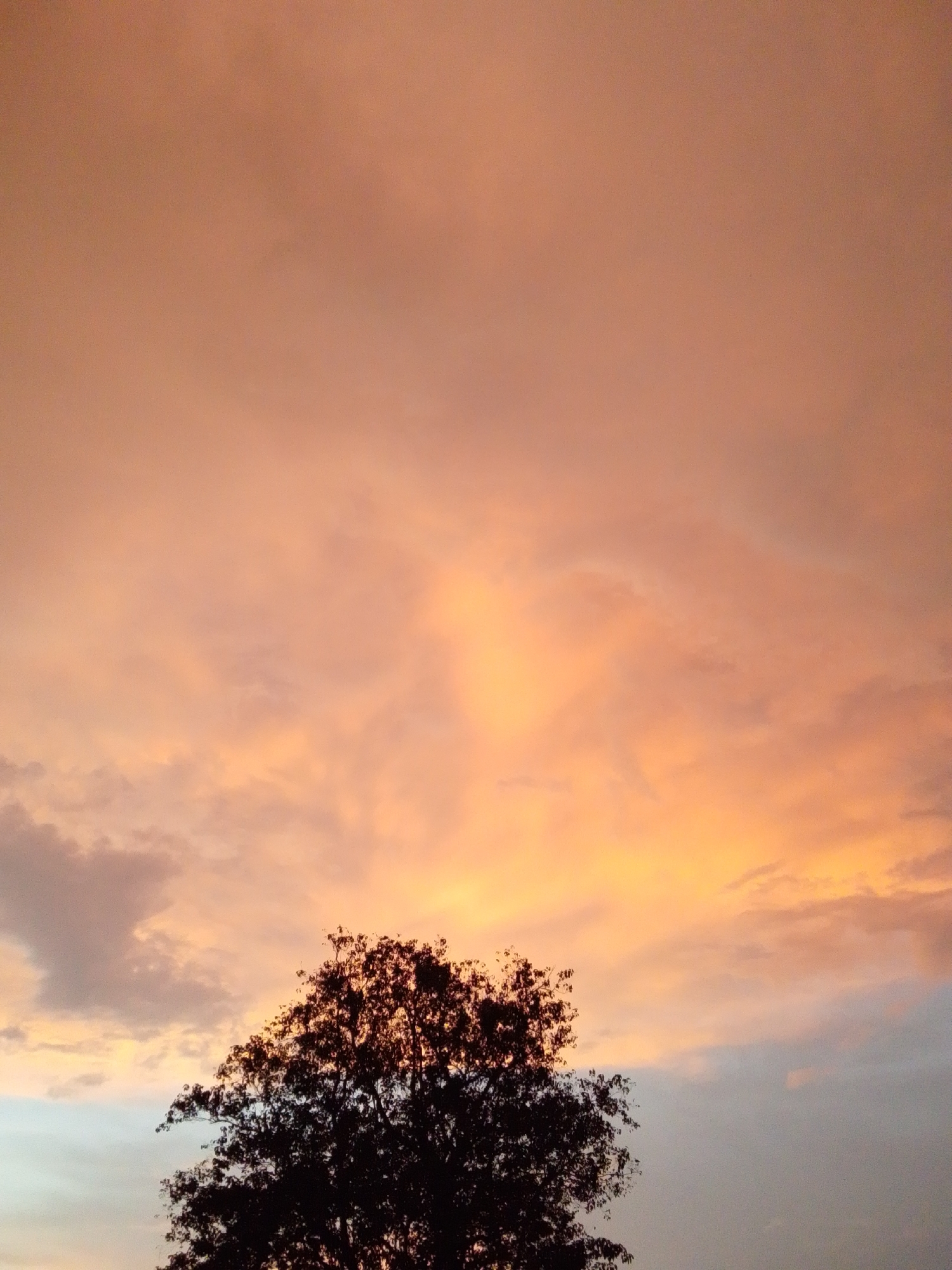 The image shows a silhouette of a tree against a sunset sky in Serti, Nigeria. The sky is filled with clouds tinged with shades of orange, pink, and yellow, indicating the sun is low on the horizon. The tree, with its dark, leafy branches, occupies the lower portion of the frame. The rest of the image is dominated by the colorful sky. There are no people or structures visible in the image, only the natural landscape. The scene captures a peaceful moment of a sunset.