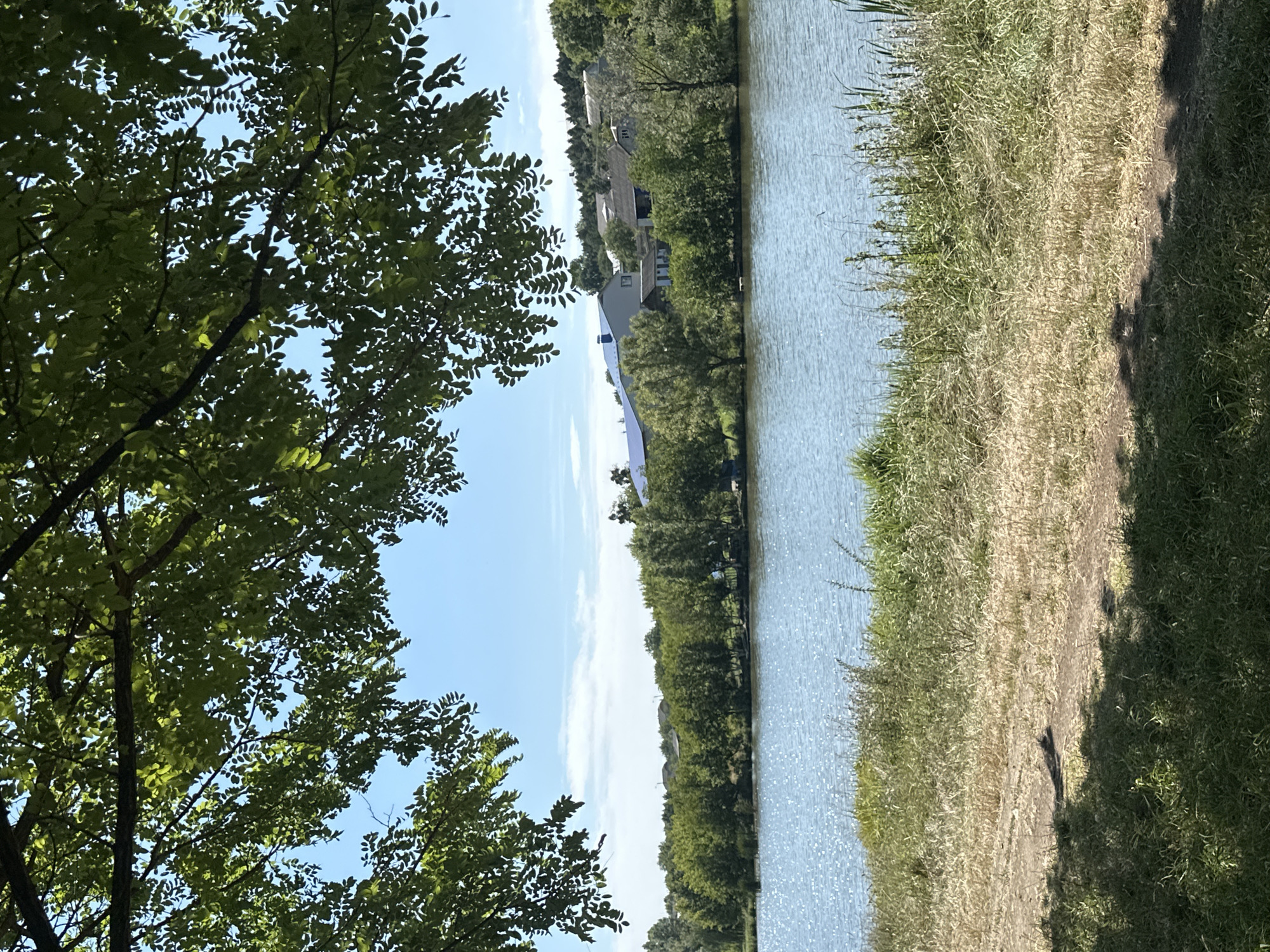 The image depicts a serene waterscape at the edge of the village of Makiv, Ukraine. In the foreground, dappled sunlight filters through the lush green foliage of a tree, casting shadows on a path and dry grass. Beyond this, a tranquil body of water sparkles under a clear blue sky, reflecting the surrounding greenery and a few wispy clouds. The far bank of the water is lined with a dense row of trees, beyond which houses and buildings of the village can be seen nestled amongst the foliage. The scene is peaceful, with no people or animals visible, conveying a sense of natural beauty and rural tranquility.