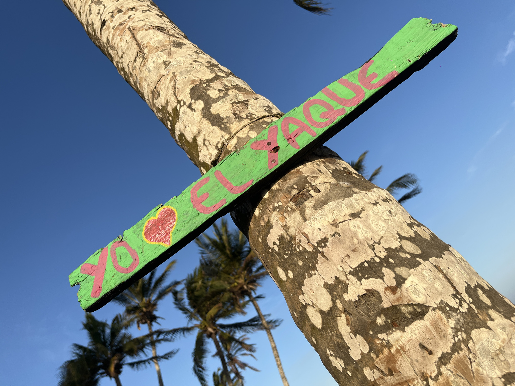 A green wooden sign is tied to a palm tree trunk against a blue sky in El Yaque, Venezuela. The sign is painted with "XO" and a heart in pink letters. Other palm trees are visible in the background.