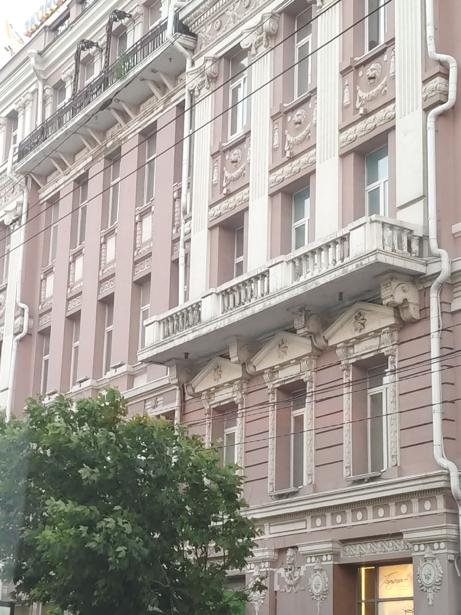 The image shows a close-up of the facade of an ornate, pink, multi-story building in Rostov-on-Don, Russia. The building features classical architectural elements, including balconies with ornate railings, decorative moldings, and relief sculptures of lion heads above windows. White drainpipes are visible on the right side of the building. A large, green tree with dense foliage partially obscures the lower part of the building on the left. Electrical wires are strung across the facade. The building's windows are tall and narrow, with some showing reflective surfaces. A sign with Cyrillic text is visible through a window on the ground floor, appearing to be a business.