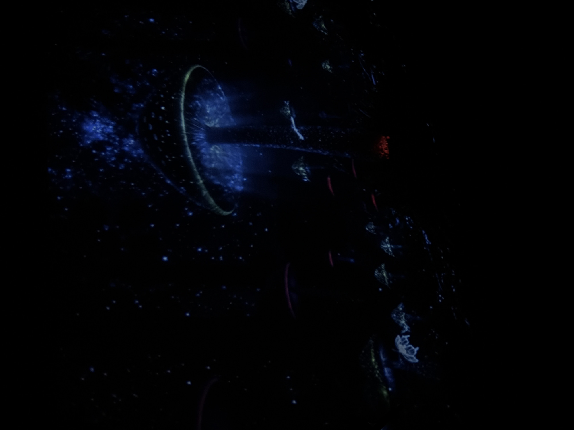The image depicts a dark, fantasy-themed scene with glowing mushrooms and scattered blue lights resembling stars or bioluminescent particles. The main subject is a large, illuminated mushroom with a blue glow radiating from its cap and stem, casting light downwards. Several smaller mushrooms, some with red or pinkish caps, are visible in the foreground and background, also exhibiting a faint glow. The environment is dark and appears to be a surreal forest or underground setting, with the ground obscured by shadow. There are no people or animals visible in the image. The scene is abstract and appears to be digitally created or heavily stylized, lacking any specific real-world context that would place it in Tbilisi, Georgia, or any other identifiable location.