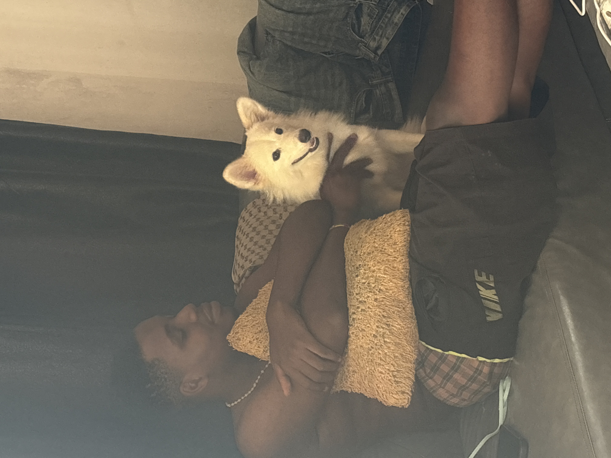 A person is lying on a couch with a white dog nestled between them. The person is wearing black shorts with "NIKE" printed on the side, and the couch is dark leather. The location is unknown.