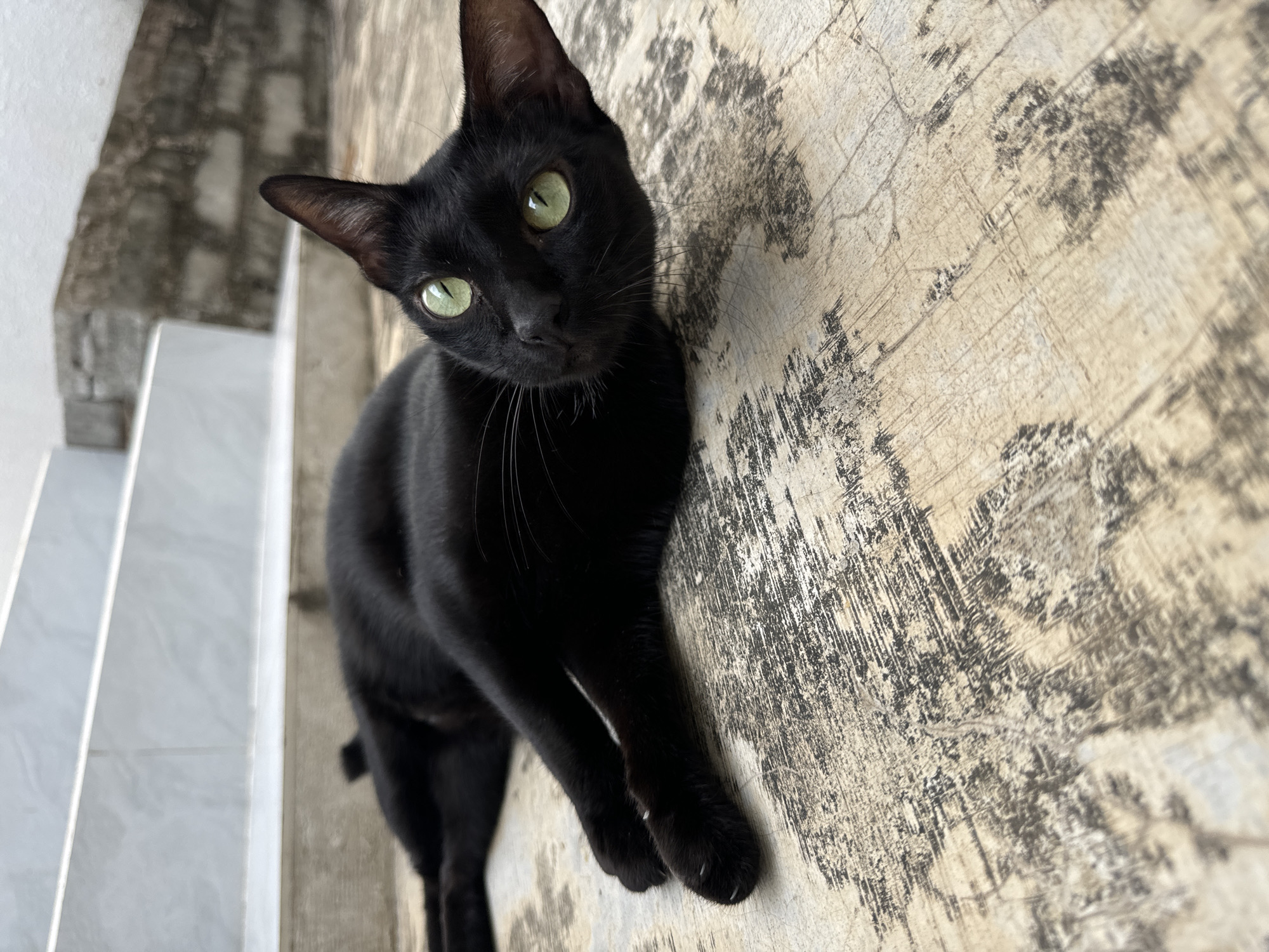A black cat with green eyes is perched on a weathered, textured surface. The cat is positioned on the right side of the frame, tilting its head to the left, looking directly at the viewer. Its paws are visible, resting on the surface. The surface is light-colored with dark, mottled patterns, resembling aged concrete or wood. To the left of the cat, a set of white, layered structures or stairs are visible. The scene is likely located in Mũi Né, Vietnam, based on the geographical reference provided.