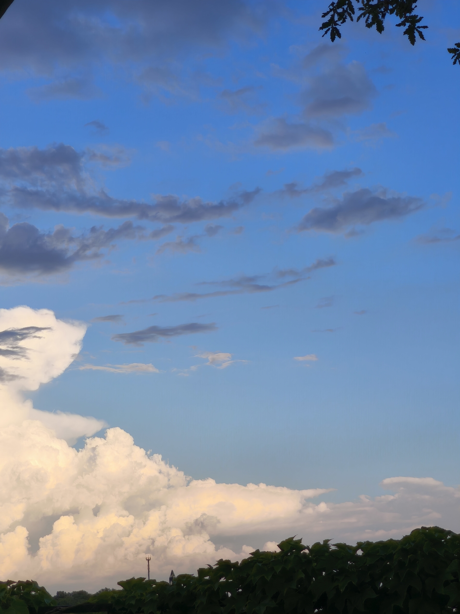 The image depicts a sky with scattered clouds, ranging in color from white to gray. The sky is a clear blue, with some darker, more ominous clouds appearing in the upper left portion of the frame. The bottom of the image is dominated by a dense canopy of dark green foliage, likely from trees or bushes, which obscures the ground. A lamppost with a light fixture is visible above the foliage in the lower middle section of the image. The location is Passignano sul Trasimeno, Italy.