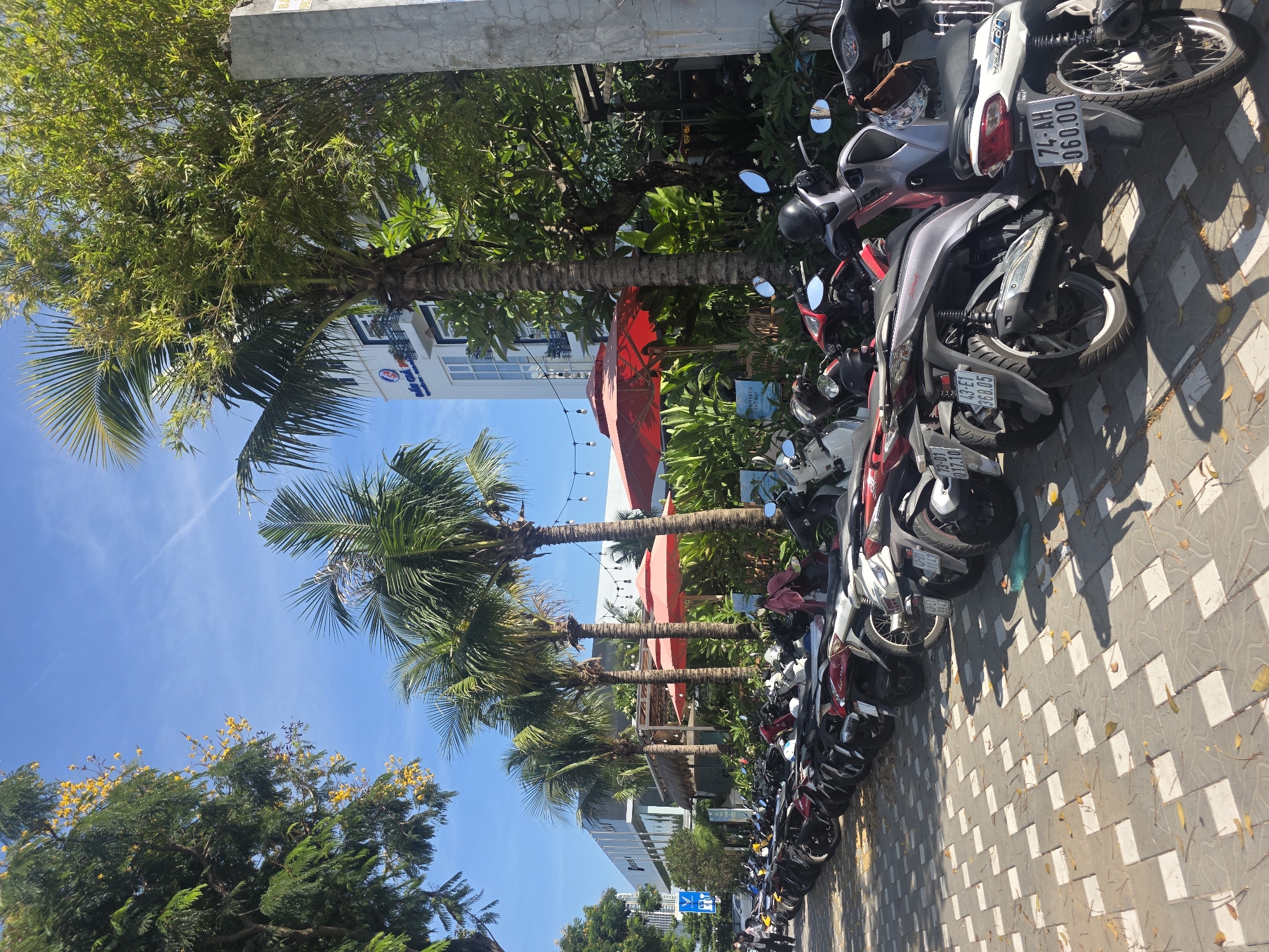 The image shows a street scene in Đà Nẵng, Vietnam. A row of motorbikes is parked along a sidewalk paved with light-colored square tiles. Palm trees line the street, their trunks visible between the parked vehicles and the buildings behind them. A building with a sign in Vietnamese is visible in the background. Red umbrellas are interspersed among the trees, likely part of a cafe or restaurant. The sky is clear and blue. No people are clearly visible.