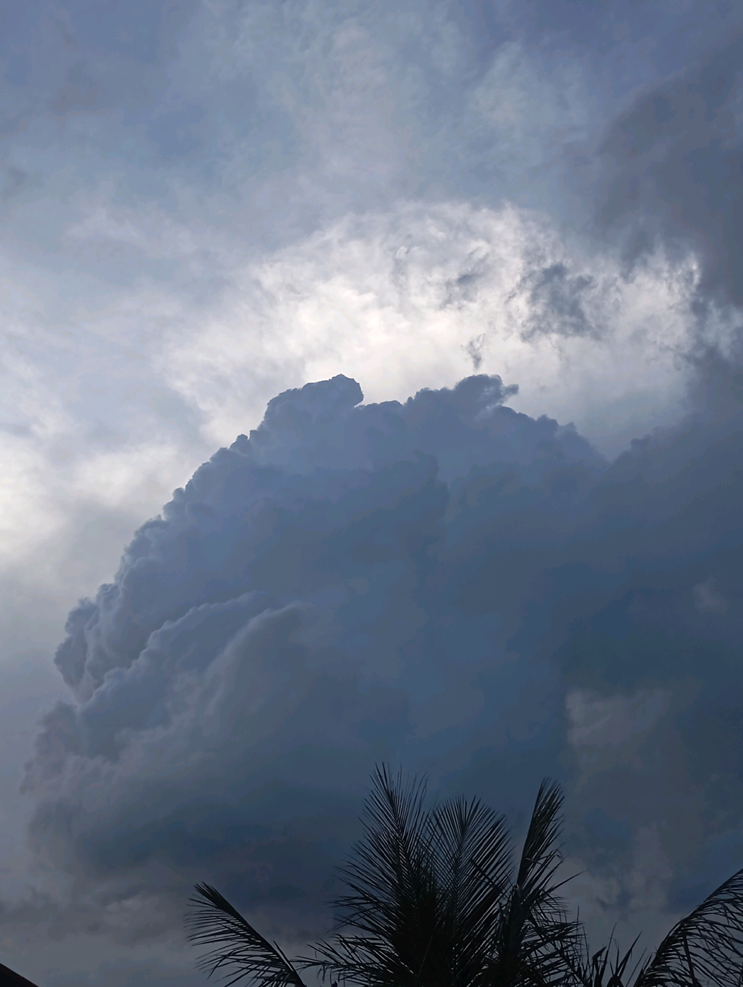 A dramatic, dark cumulus cloud formation dominates the sky above Rayfield, Nigeria. The cloud is a deep gray, with lighter, brighter areas suggesting the sun is attempting to break through from behind it. wisps of lighter clouds are scattered across the upper portion of the sky, creating a textured, dynamic atmosphere. In the foreground, the silhouetted fronds of a palm tree are visible against the dark sky, indicating a tropical or sub-tropical environment. The overall impression is one of an impending storm or the aftermath of one.