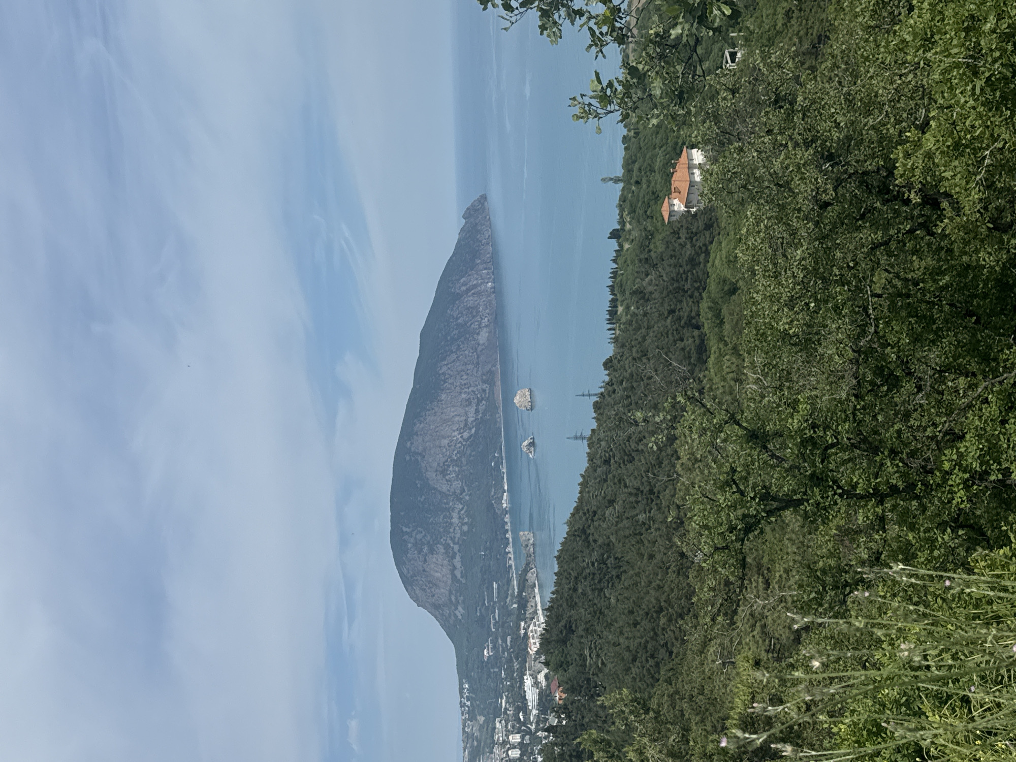 The image captures a landscape view in the city of Гурзуфский поселковый совет, Ukraine. The scene features a large, prominent mountain descending towards the sea. Along the coastline at the mountain's base, a scattering of buildings and urban structures is visible. The sea stretches out towards the horizon, and in the foreground to the right, there's a dense green area with trees and vegetation. High up on the hill among the trees a white, possibly multi-story building with a red roof can be seen. The sky above is light blue, blending into a slightly hazy or overcast atmosphere.