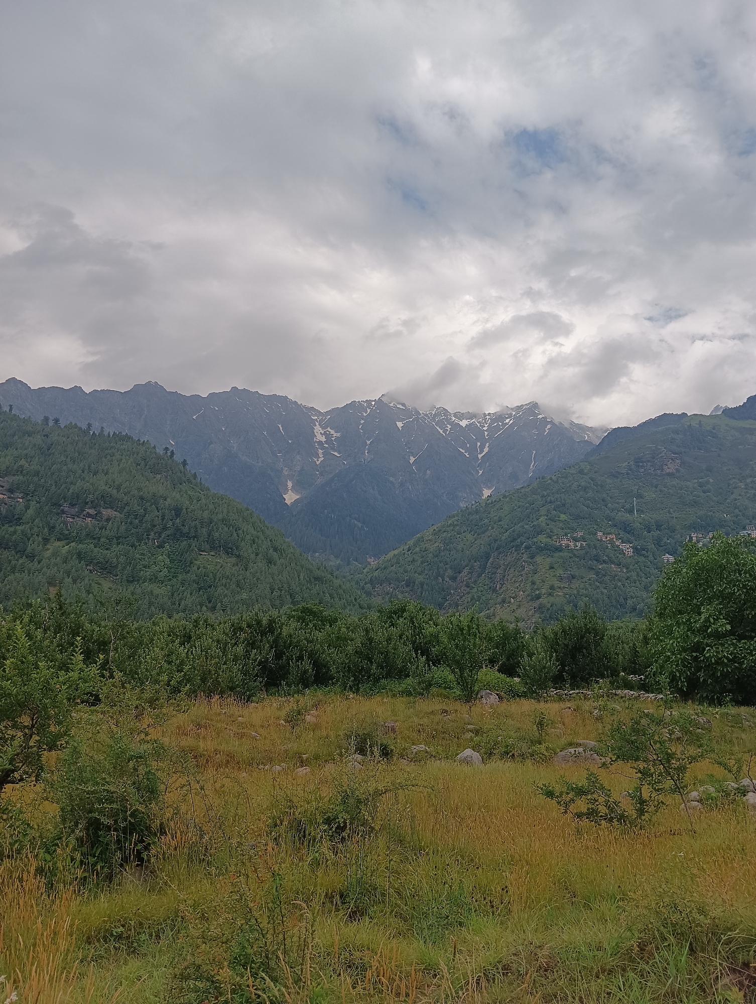 This is a photograph of a mountainous landscape in Barheta, India. The image is dominated by lush green hills covered in dense pine trees, with a rugged mountain range rising in the background. The peaks of these mountains are partially snow-capped, suggesting a high altitude. The sky is overcast with a thick layer of grey clouds, but patches of blue are visible, hinting at a break in the weather. In the foreground, there is a field of tall, dry grass with scattered rocks and small bushes. The overall impression is one of natural beauty and tranquility.