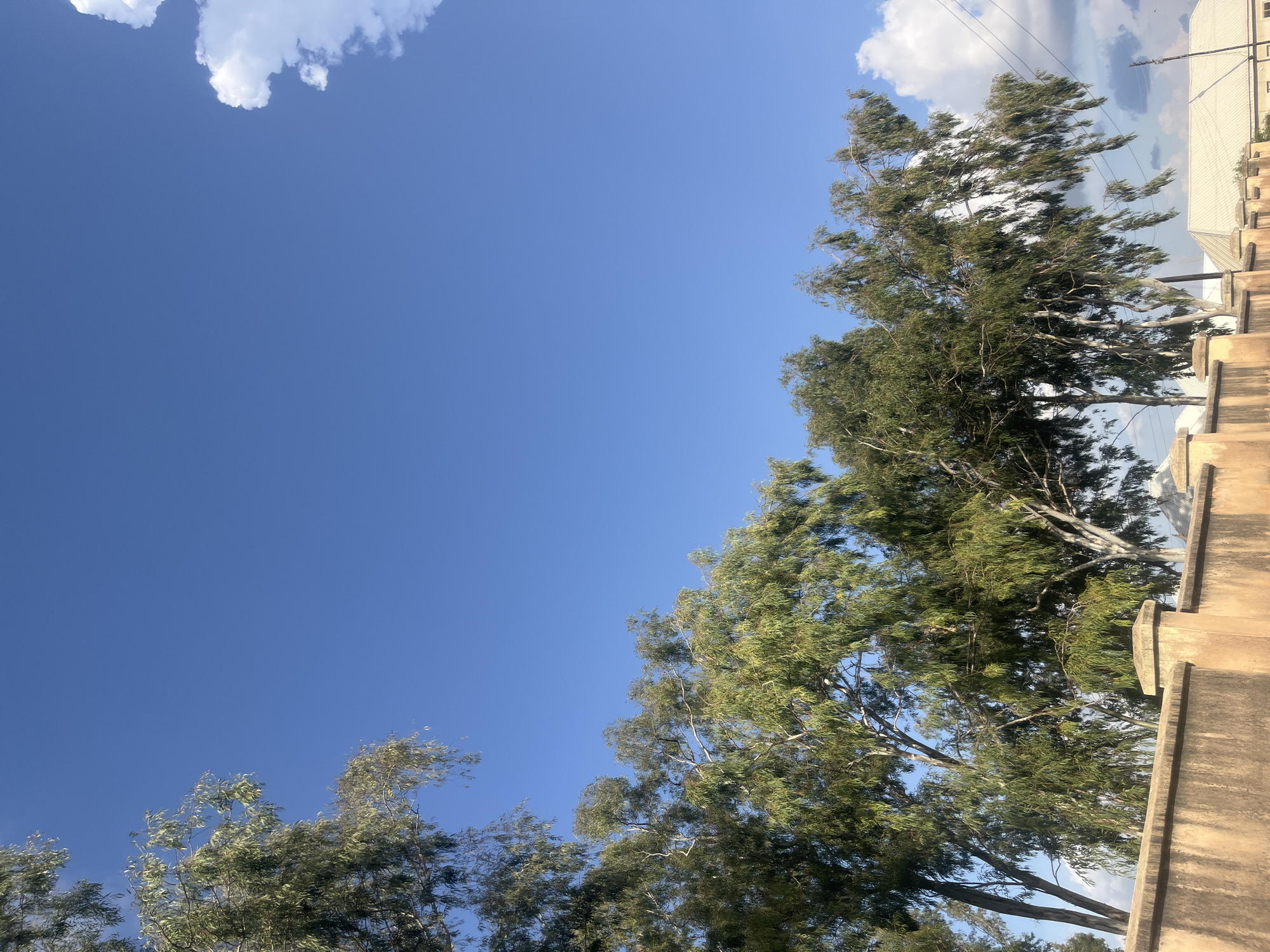 This daytime image, captured in Jos, Nigeria, presents a scene dominated by a clear blue sky occupying the upper two-thirds of the frame, with sparse white cumulus clouds visible along the right edge. A horizontal row of tall, slender trees with dense, drooping, light green foliage extends across the mid-ground, partially obscuring the sky and lower-left corner. Beneath the trees, a weathered, light-brown concrete wall with regularly spaced rectangular pillars spans the foreground. In the background, partially visible behind the trees and wall on the right, are segments of light-colored building roofs and utility lines connected to a pole. No human subjects are present.