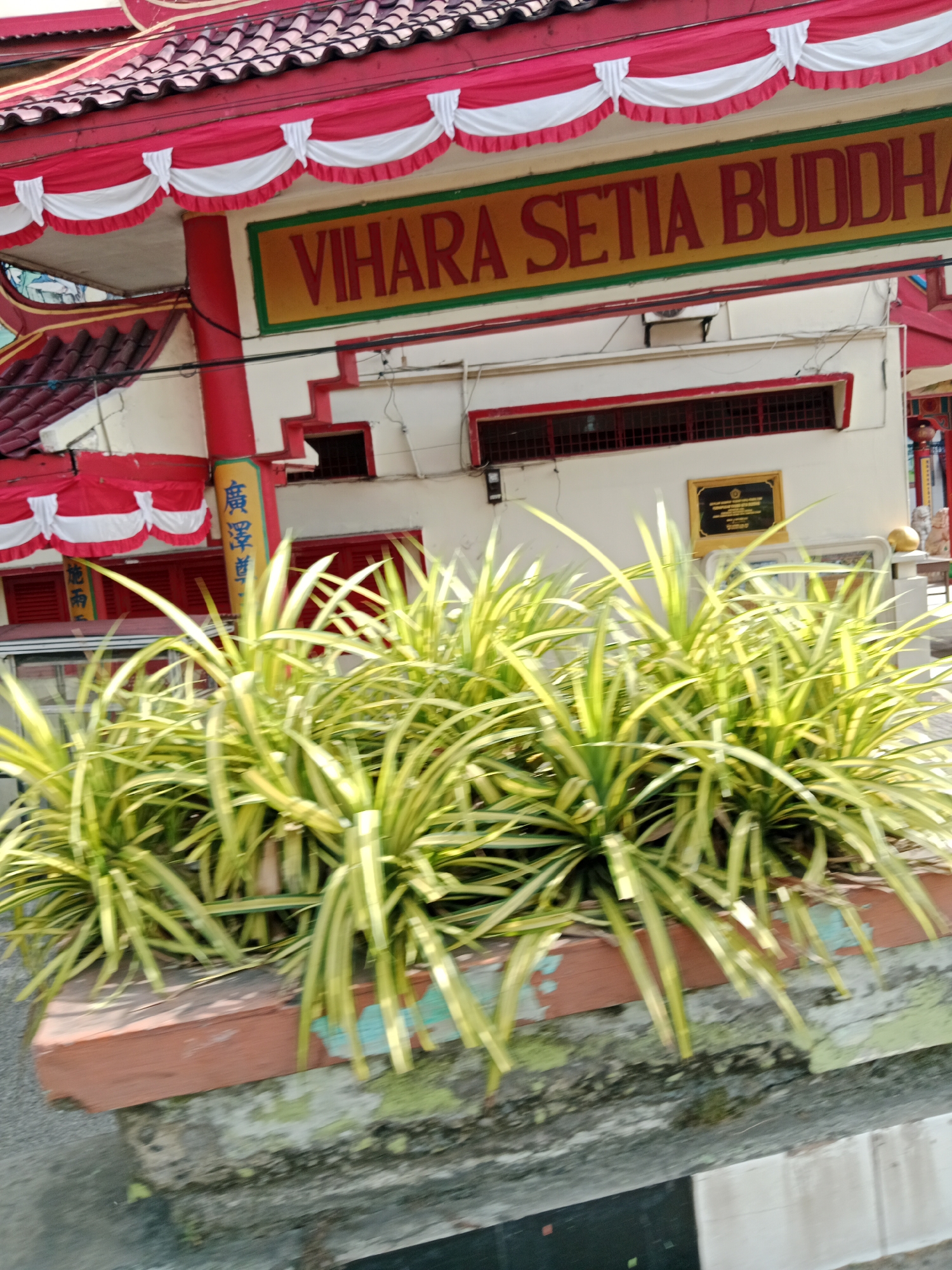 The image shows a close-up view of the facade of a building with a sign that reads "VIHARA SETIA BUDDHA". The building appears to be a Buddhist temple, with traditional red and white decorative elements along the roofline. In front of the building, there is a planter box containing lush green and yellow striped plants. The planter box is made of brick and concrete, and shows signs of wear and tear. The overall scene suggests a religious or cultural site located in the City of Binjai, Indonesia. The image is taken from a low angle, focusing on the plants and the lower part of the building.