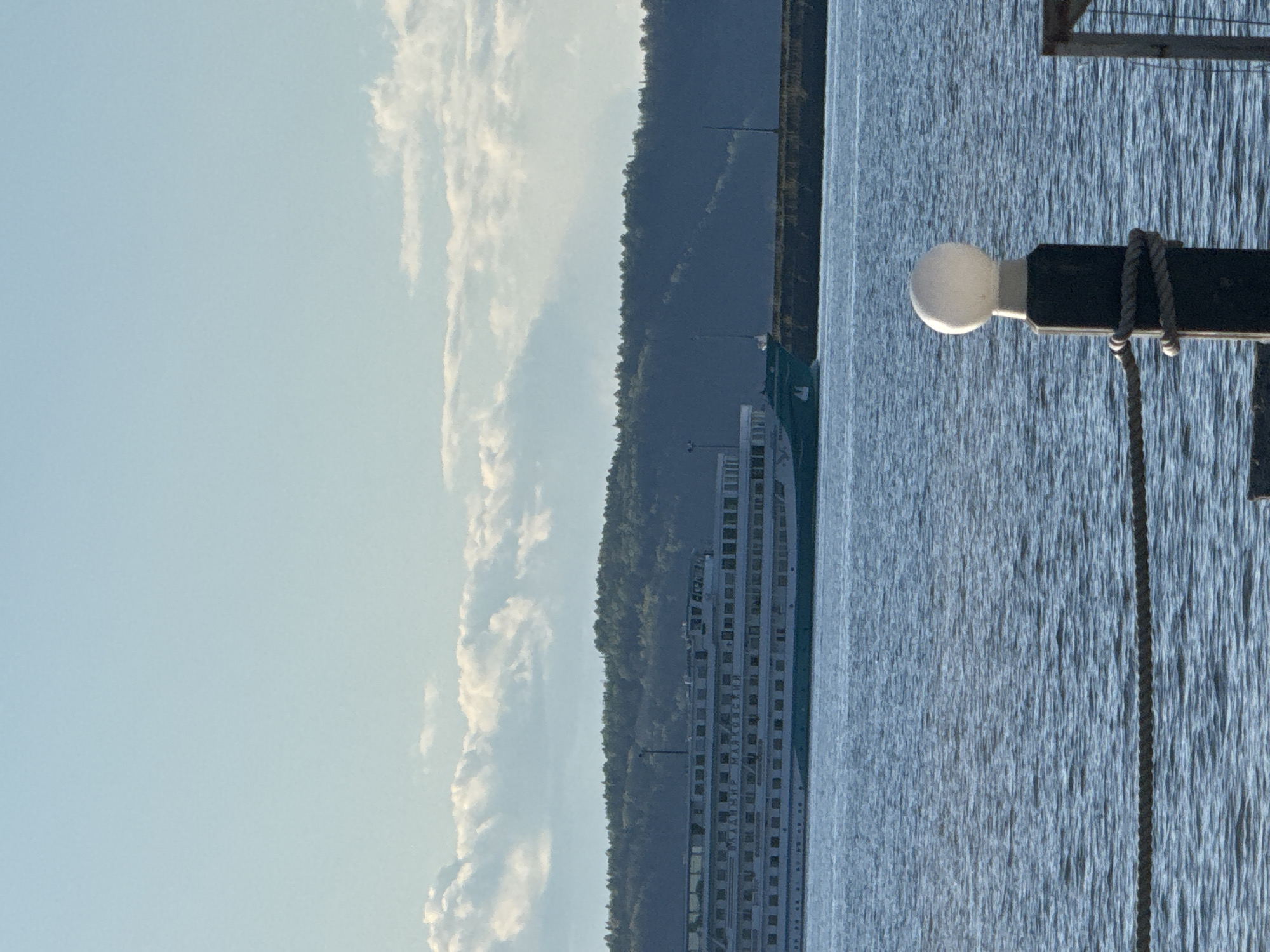 A cruise ship is docked at a pier, with a forest visible in the background and a pier lamp in the foreground. The location is Chaikovsky, Russia.