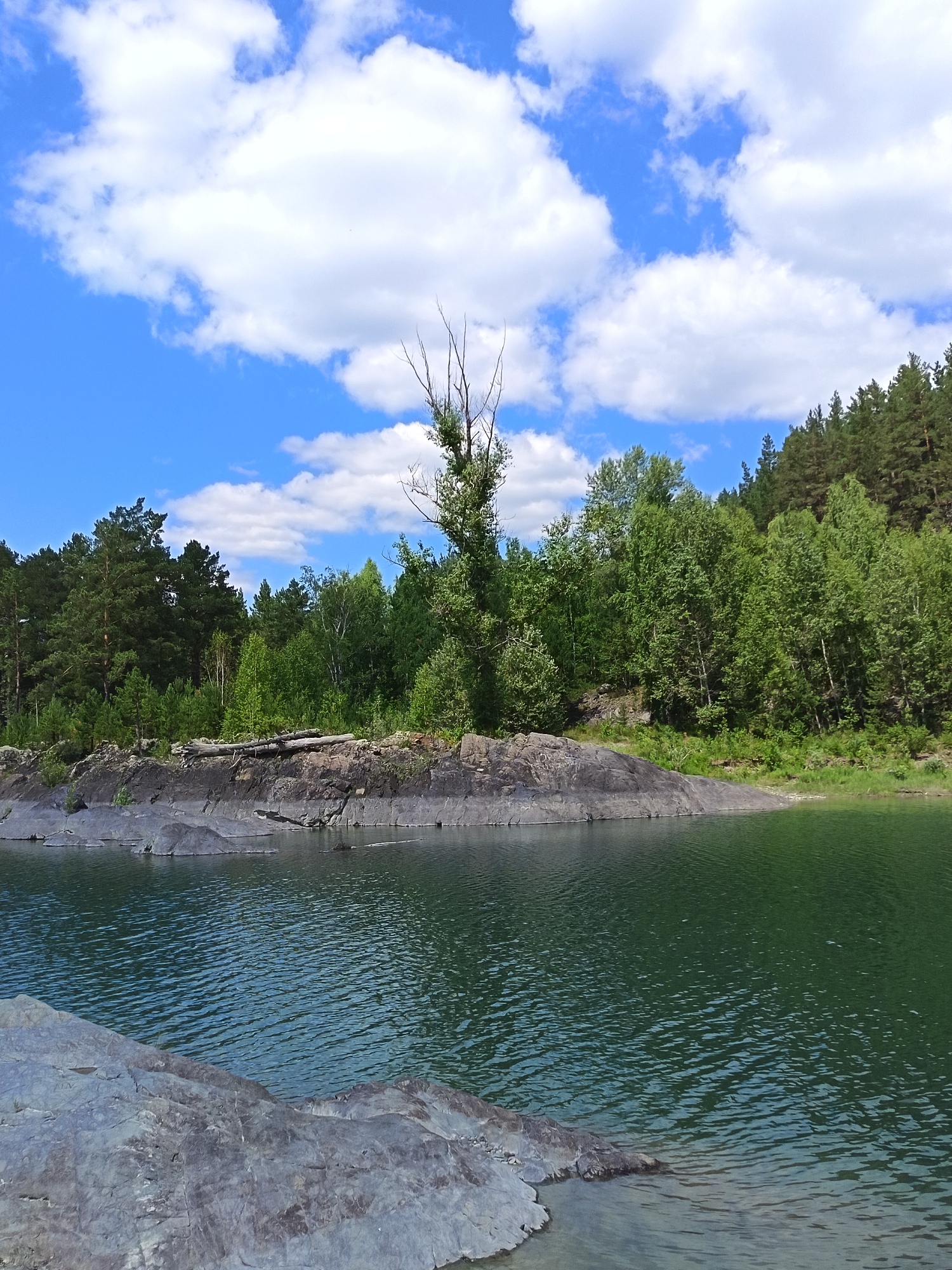 The image depicts a scenic natural landscape with a body of water in the foreground and a dense forest in the background. A large, gray, rocky outcrop dominates the left side of the frame, extending into the clear, greenish water. On this rock formation, there are several weathered logs and a tall, bare tree. The water's surface is rippled, reflecting the blue sky and white clouds above. Beyond the rocks and water, a lush green forest covers the hillside, with a variety of trees, including pine and deciduous varieties. The sky is a bright blue, dotted with fluffy white clouds. The overall impression is of a tranquil, undeveloped natural environment. This scene is located in Nizhnykayancha, Russia.