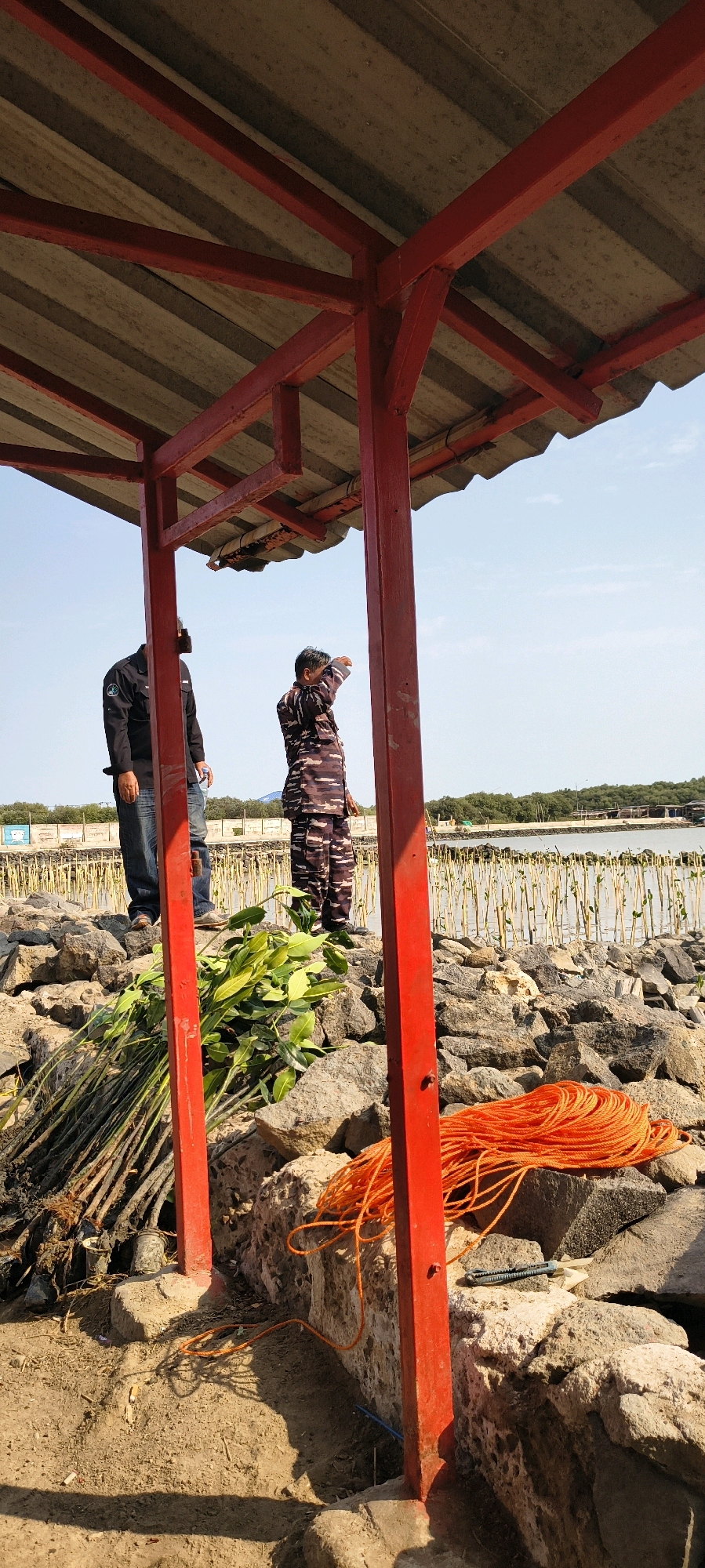 Two individuals are standing on a rocky embankment beneath a weathered, corrugated metal roof supported by red metal beams. The person on the left wears a black long-sleeved shirt and blue jeans, with their back to the camera, facing towards the right. The person on the right wears a camouflage uniform and is looking to the right, with their right hand raised to their forehead as if shielding their eyes from the sun.
In the foreground, to the left, is a bundle of green leafy branches or saplings, possibly for planting. To the right, a coil of bright orange rope lies on the rocks. The embankment is made of various-sized rocks and dirt.
Beyond the embankment, a body of water is visible, with a line of thin poles or stakes planted in the water, suggesting a form of aquaculture or coastal protection. In the distance, trees and structures are visible, hinting at a shoreline settlement. The sky is clear and blue. The scene appears to be in a coastal area, possibly a mangrove plantation or a fishing village.
The context provided mentions the city of Gebang, Indonesia, which places this scene in a specific geographic location known for its coastal environment and potentially related activities.