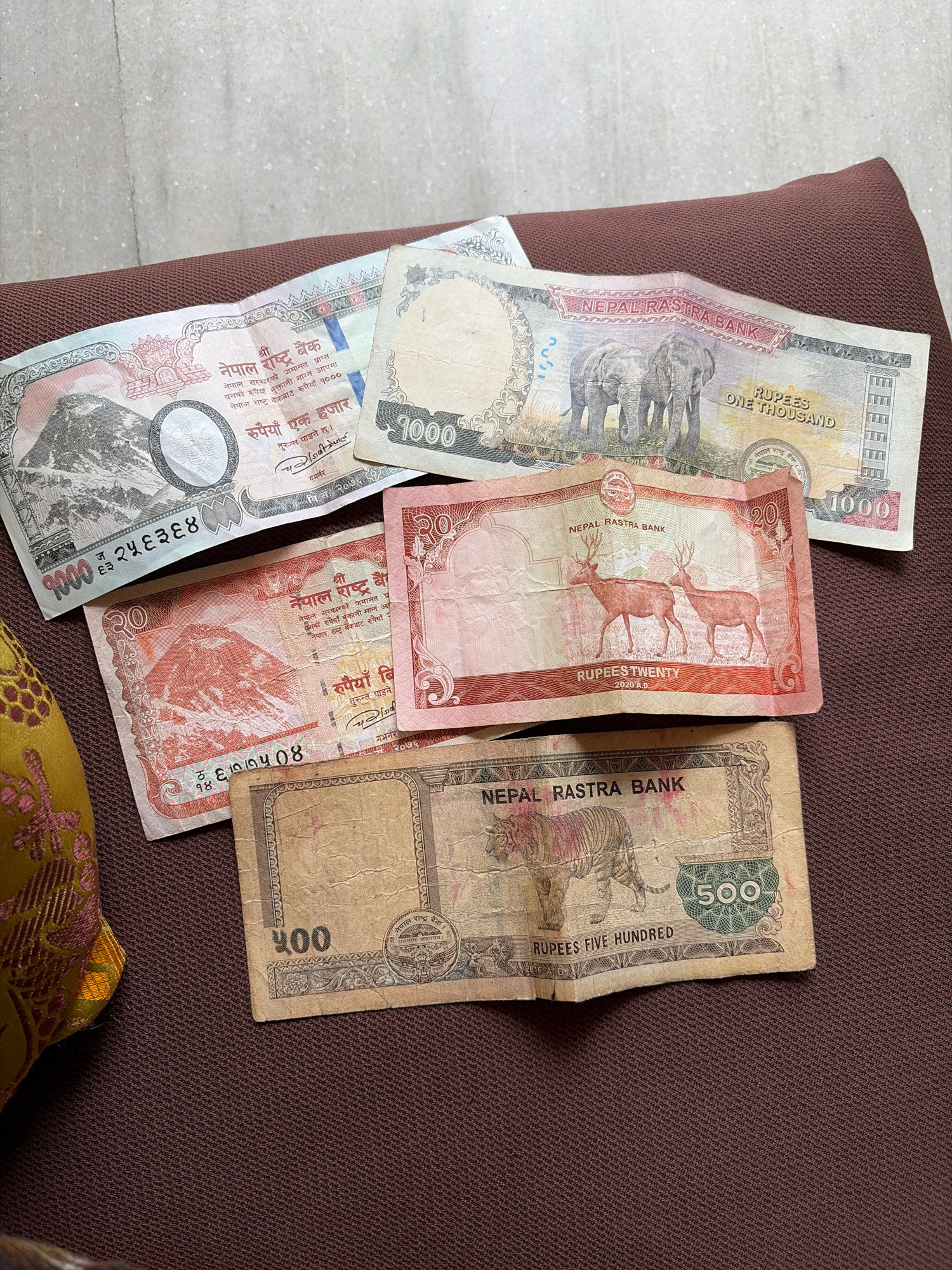 The image displays a collection of Nepalese banknotes arranged on a textured brown surface, possibly a piece of furniture. The banknotes are from Nepal Rastra Bank and feature various denominations and designs. In the foreground, a banknote with the denomination "400" is visible, along with a "500" rupee note depicting a tiger. Behind these, a pink banknote with "20" and images of deer is present. Further back, a large banknote with "1000" and elephants is partially visible, and to the left, another "1000" rupee note is seen with a mountain landscape. The banknotes show signs of wear and creasing, indicating they have been handled. The overall lighting suggests an indoor environment. The image does not provide any specific details about the city of Lalitpur, Nepal, or any people.