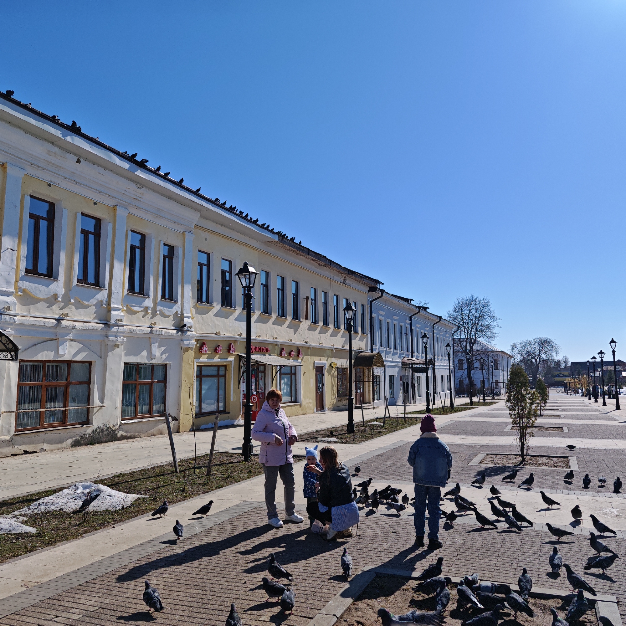The image shows a sunny day in what appears to be a public square in the city of Rostov, Russia. A row of buildings with off-white or pale yellow facades lines the left side of the image, with many pigeons perched on their rooftops. The foreground of the image is dominated by a brick-paved area, on which several people are interacting with pigeons. An adult woman is kneeling with a toddler, possibly feeding the pigeons. Another woman and child stand next to them. Behind the group, another person stands apart, also seemingly engaged with the pigeons. Numerous pigeons are scattered throughout the paved area, some in small groups, others alone. The sky is a clear, cloudless blue. Street lamps are spaced along the paved area. Bare trees, indicating early spring, are in the background. Patches of snow remain near the buildings.