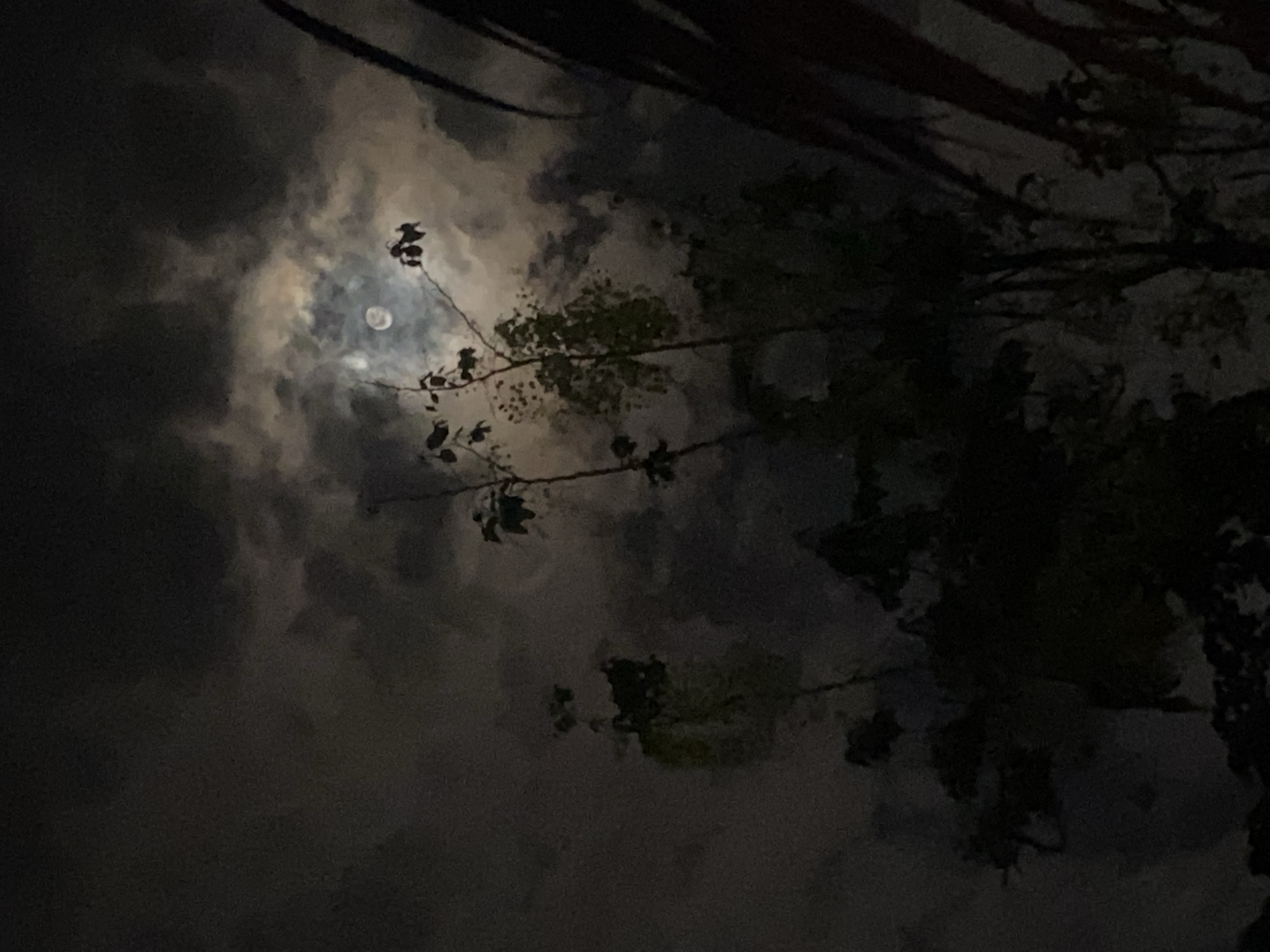 The image depicts a night scene in Baan Kai, Thailand. A full moon is partially obscured by clouds. Silhouetted tree branches and leaves frame the moon. The scene appears dark and dimly lit. No people or other specific objects are discernible.