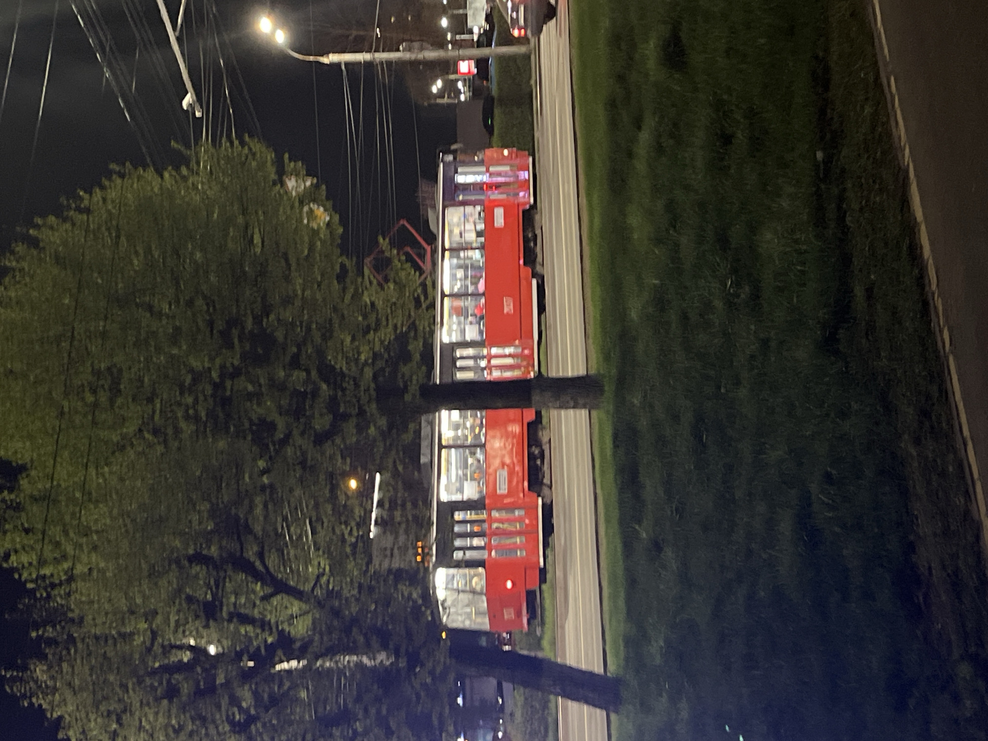 The image depicts a red and white trolleybus traveling on a paved road at night. The trolleybus is situated between a grassy area and a line of trees, with streetlights illuminating the scene. Overhead trolleybus wires are visible above the bus and extending towards the streetlight. The general setting and trolleybus design strongly suggest the location is Izhevsk, Russia.