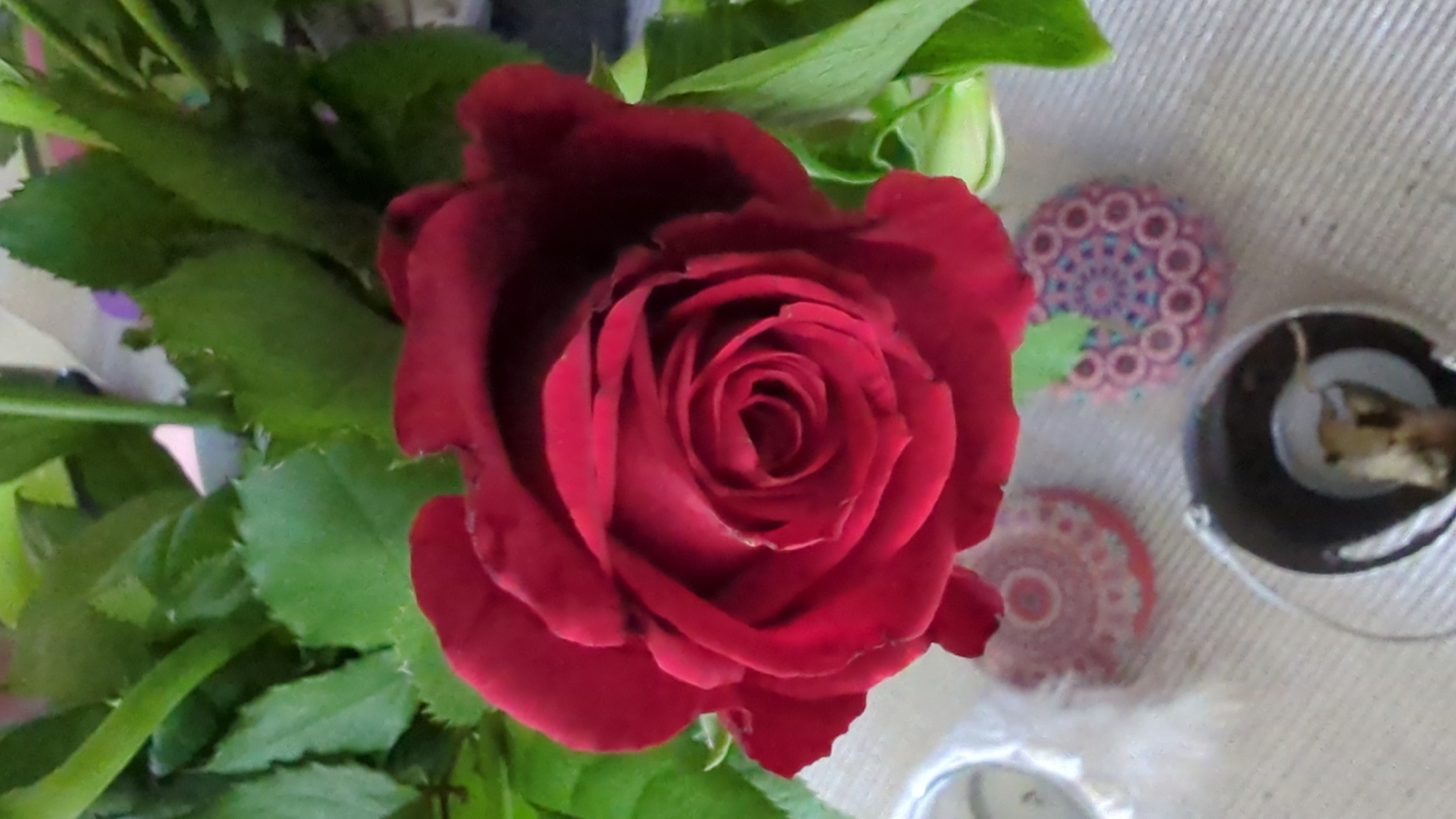 A close-up, top-down view shows a single, deep red rose in full bloom. The rose is the central subject, with its tightly curled petals showcasing a rich, velvety texture. Surrounding the rose are vibrant green leaves and stems. In the background, out of focus, are three small, circular decorative objects. Two are flat and patterned with mandalas in pink, blue, and white. The third object is a small, silver metal holder with a shiny interior, containing a small, light brown object that appears to be a dried leaf or flower petal. The scene is set on a textured surface, possibly a tablecloth, in Kløfta, Norway.
