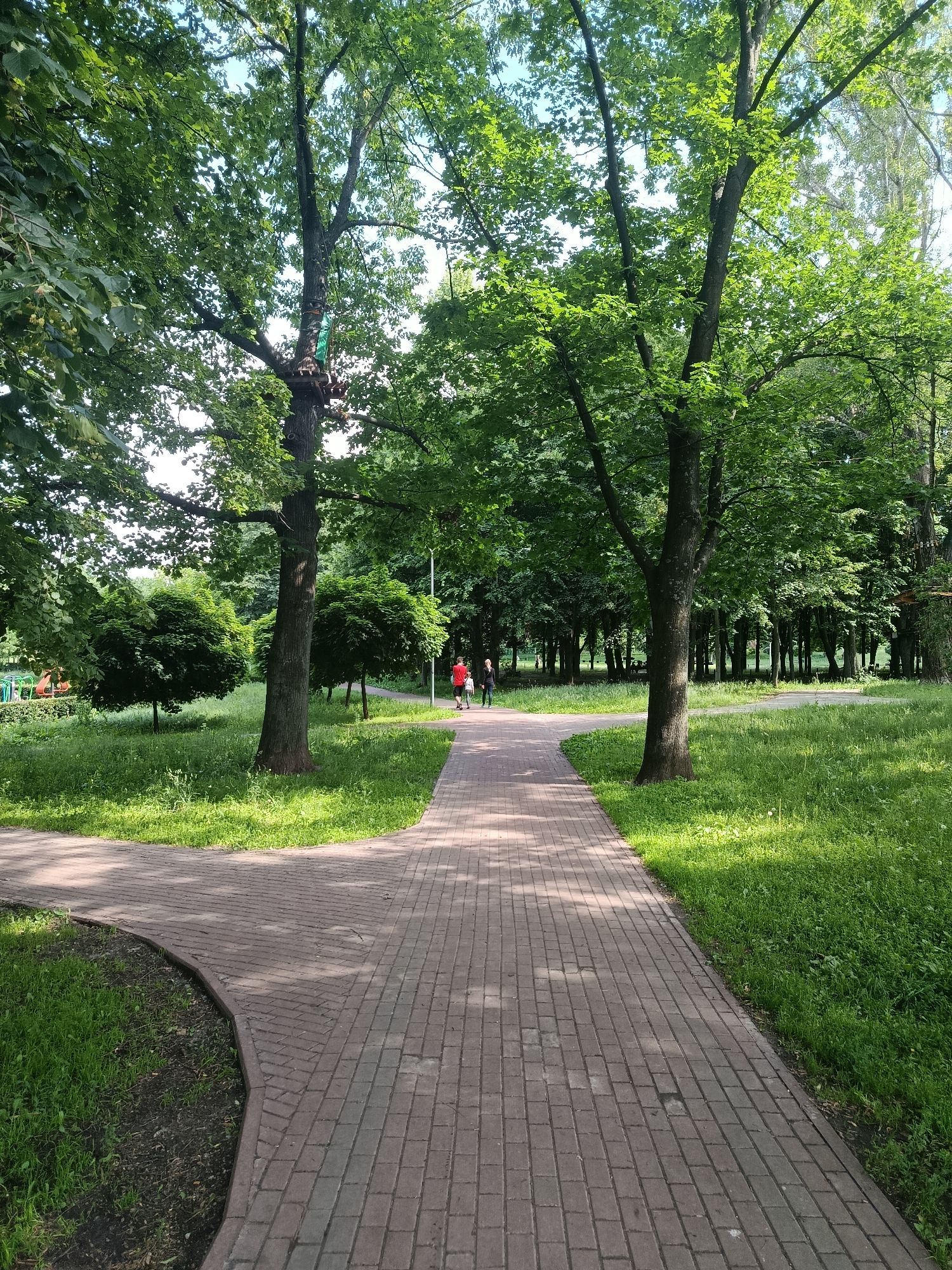 A paved walkway branches in two directions through a park with lush green grass and numerous trees. Two people are walking away from the camera on the right-hand path. In the background, more trees create a dense forest. One of the trees on the left appears to have some sort of structure attached to it.