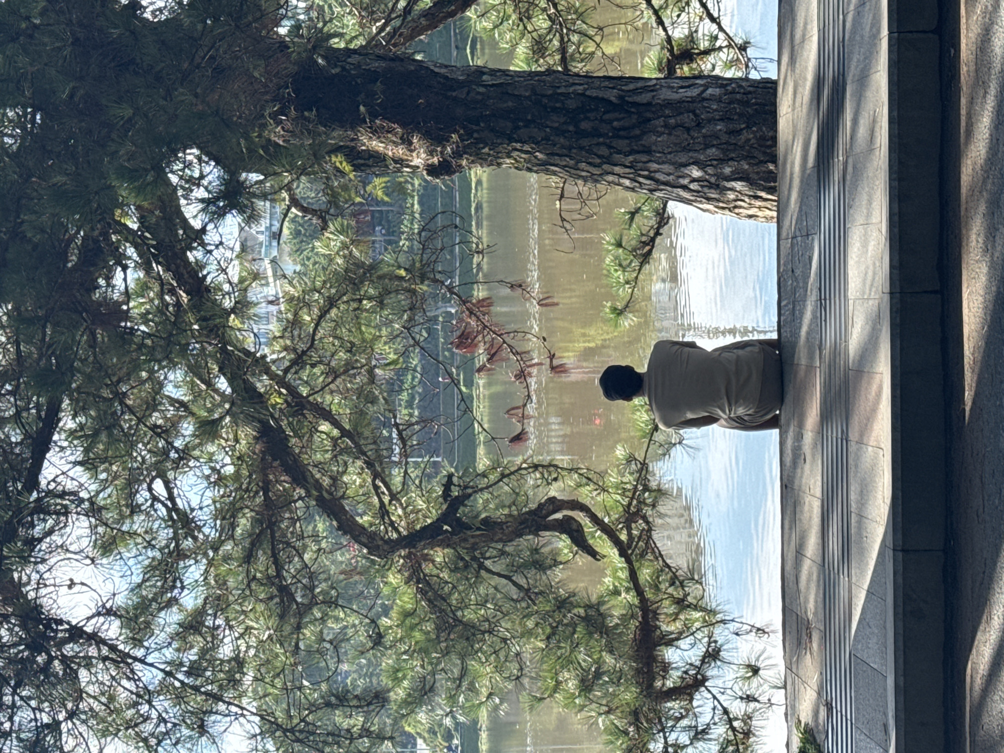 A person is sitting on a stone wall next to a body of water. The water reflects the sky. A large tree is above and to the left of the person. The stone wall has vertical lines. The image appears to be taken at a slight angle. The scene is in Da Lat, Vietnam.