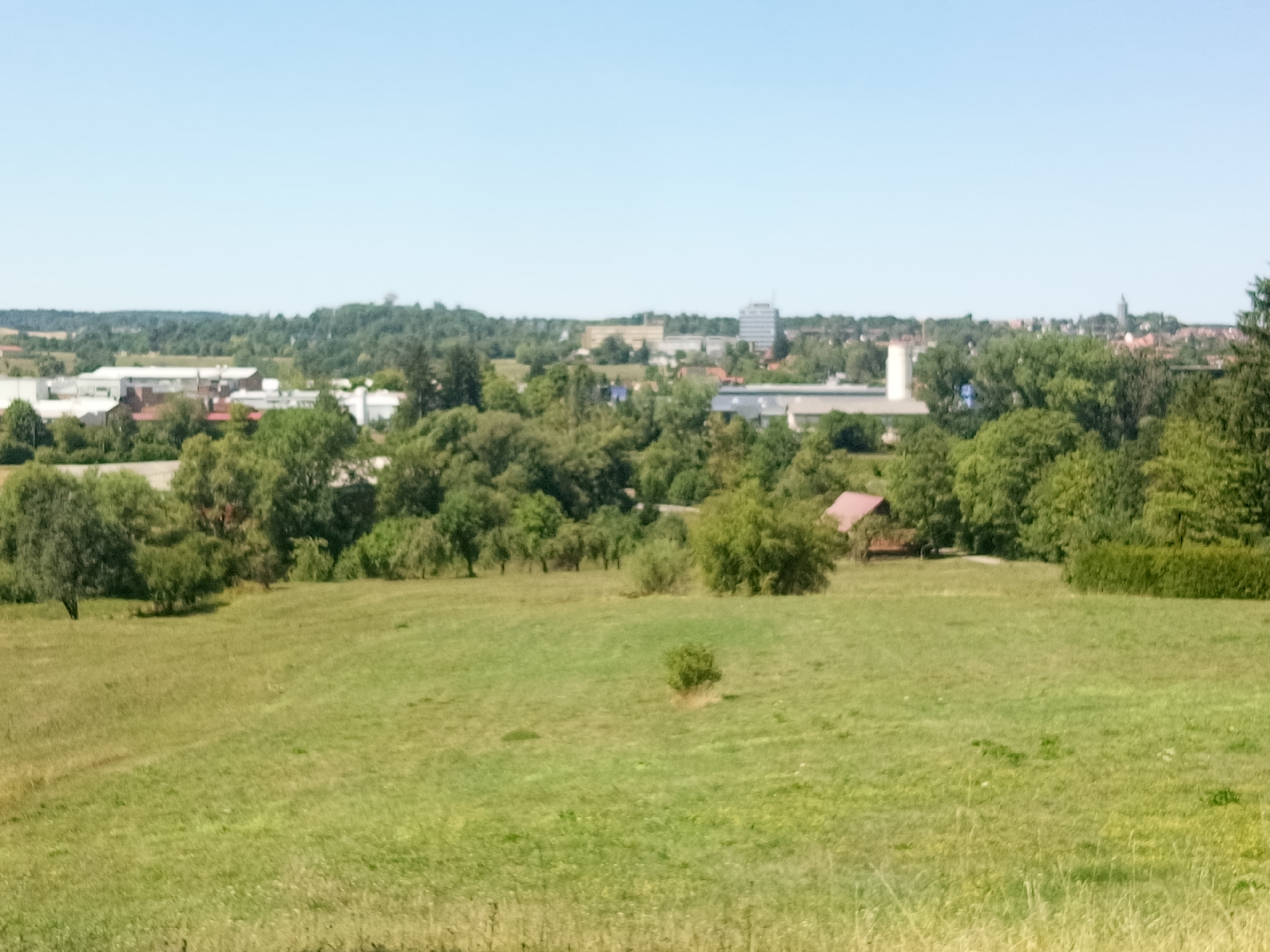 A wide, slightly hazy shot captures a pastoral scene with a town in the distance, under a clear blue sky. The foreground is dominated by a gently sloping, sun-drenched meadow of green grass, dotted with small patches of drier vegetation and a few scattered, low-lying bushes. In the middle ground, a cluster of mature, leafy trees forms a verdant line, interspersed with buildings, including a small red-roofed barn or shed. Beyond this, the landscape rises with more trees and hills. The background reveals a more developed area with industrial-looking buildings, a taller modern structure, and hints of a cityscape with more traditional architecture. The overall impression is of a peaceful, semi-rural environment on a bright day.