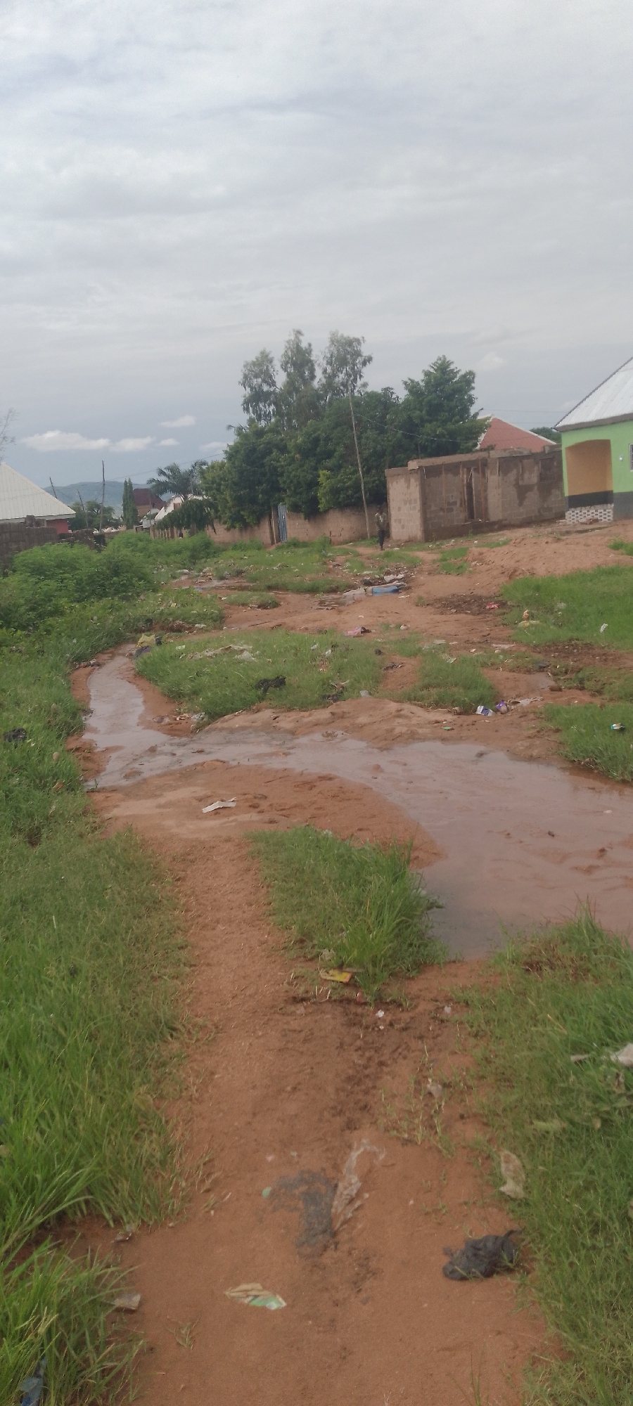 An outdoor, slightly overcast scene depicts a dirt path in what appears to be a developing area of Jalingo, Nigeria. The path leads towards the viewer from the mid-ground and is flanked by tall green grass. In the mid-ground, the path widens into a shallow, muddy pool of water with some debris floating on its surface. Scattered on the ground and in the water are various pieces of trash, including plastic bags and wrappers. Beyond the water, a low, red-brown dirt wall separates the area from a row of buildings and dense green trees. To the right of the wall, a light green building with a white trim and a white roof is visible. Further to the left, a white-roofed building with dark walls can be seen. A single person, a male wearing dark clothing, is walking away from the viewer on the dirt path to the right of the water, near a partially constructed brick building. The overall impression is one of an unpaved, somewhat neglected urban or semi-urban environment.