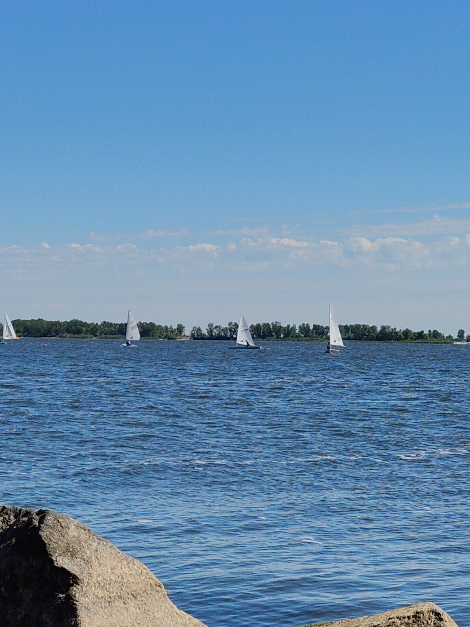 The image captures a scenic view of the Dnipro River in Cherkasy, Ukraine, on a clear day with a blue sky dotted with light clouds. The foreground features a large, rough-textured grey rock on the left side of the frame, with the rippling blue water of the river extending towards the horizon. In the middle ground, several sailboats with white sails are visible on the water, indicating a recreational activity. The background consists of a lush green treeline, suggesting the presence of the shore. The overall impression is one of a tranquil summer day at the river.