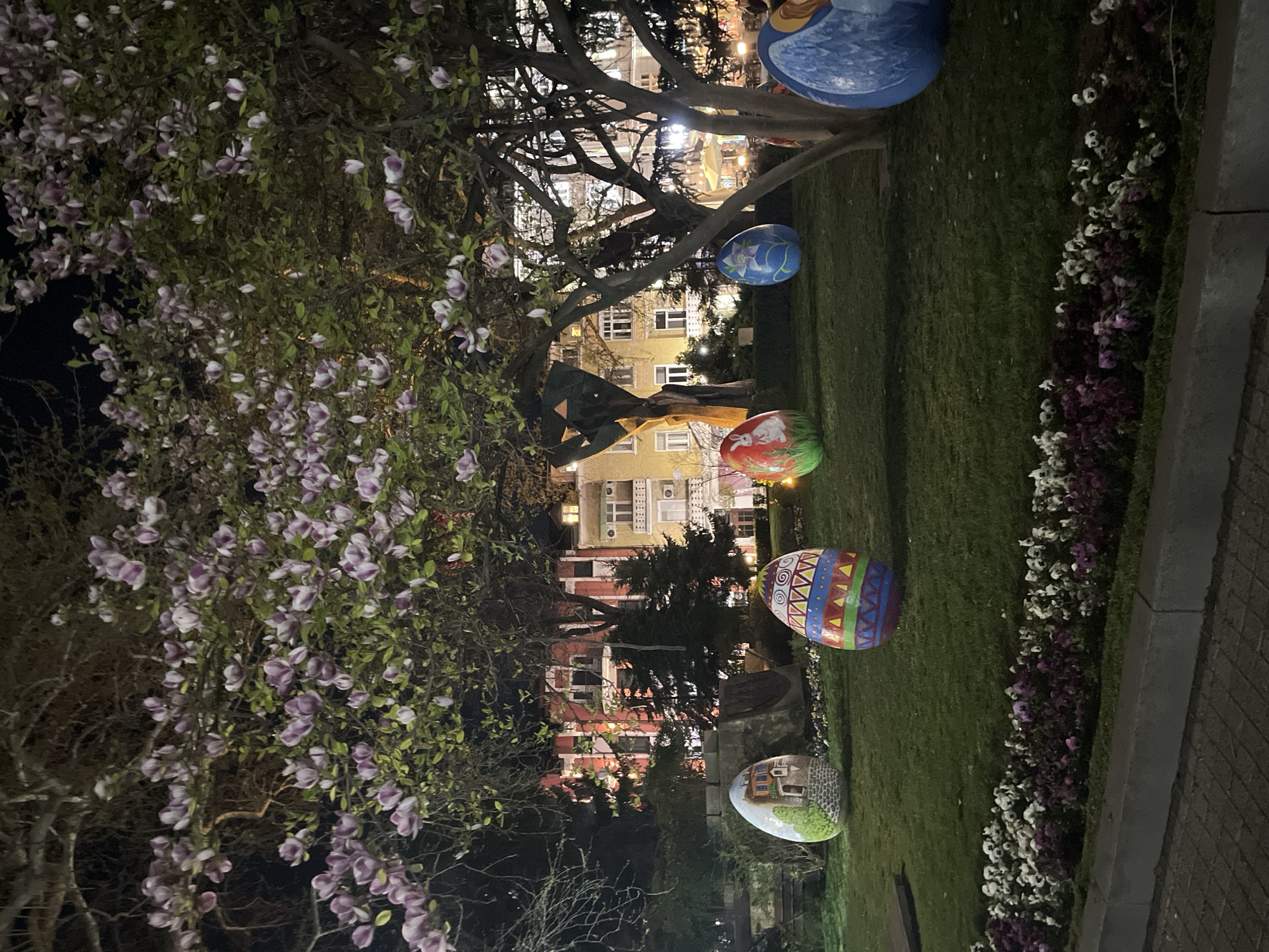 The image depicts a park scene at night in Plovdiv, Bulgaria. Five large, painted Easter eggs are situated on a grassy lawn near a sidewalk bordered by a flower bed with purple and white flowers. Behind the eggs, one can observe apartment buildings with lit windows. A large magnolia tree, laden with pink blossoms, dominates the left side of the frame. Additional trees with bare branches are visible. Overhead lighting illuminates the buildings and eggs.