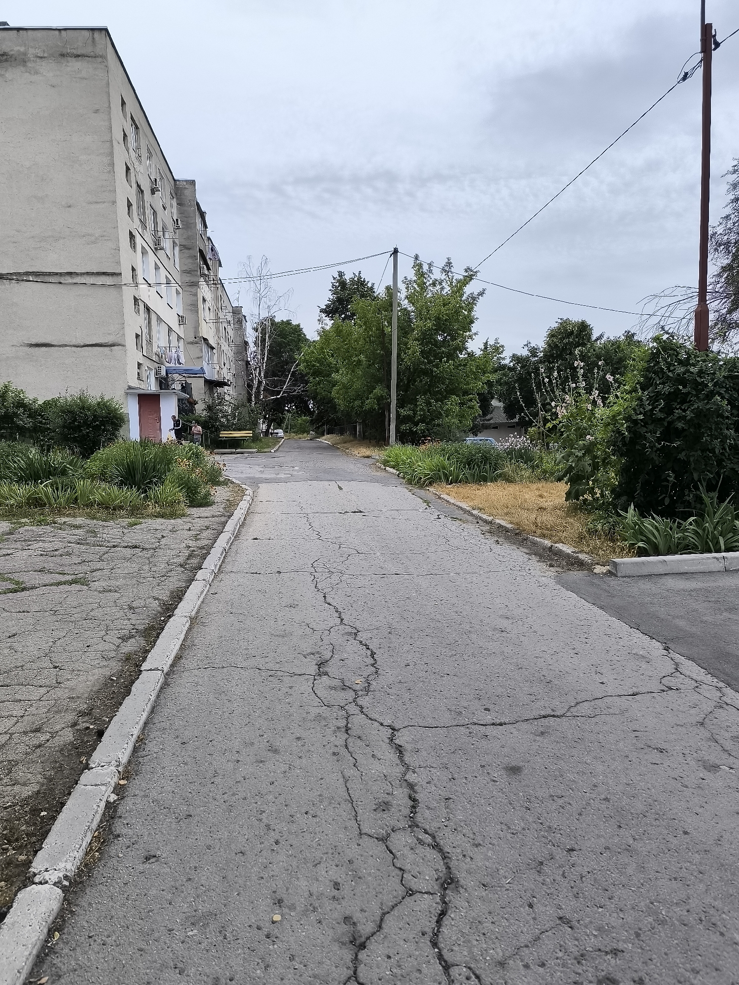 A cracked asphalt pathway leads away from the viewer, flanked by a concrete sidewalk on the left and a grassy area on the right. The pathway curves slightly to the right in the distance. To the left, a multi-story apartment building with a light-colored facade and visible windows and air conditioning units dominates the scene. A small red door with a white frame is visible near the building's entrance, with people sitting on a bench in front of it. Green bushes and plants are growing in front of the building and along the pathway. Trees and foliage are visible in the background, with a utility pole and power lines stretching across the sky. The sky is overcast and cloudy. The location appears to be a residential area in Rybnitsa, Moldova.