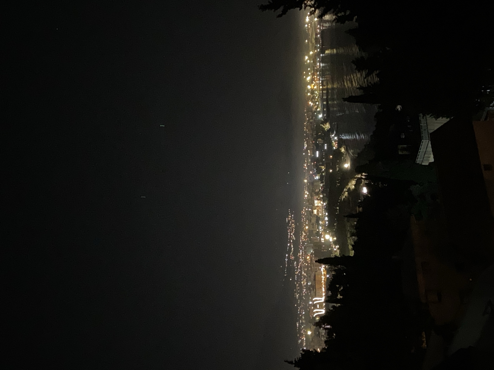 The image depicts a nighttime view from an elevated position in Šušanj, Montenegro, overlooking the Adriatic Sea. The sea is to the left, appearing dark with faint light reflections. The city coastline stretches along the right side, with numerous illuminated buildings and streetlights indicating urban development. In the foreground on the right, a dark silhouette of trees and a partial view of a building suggest an observation point. No people are visible.