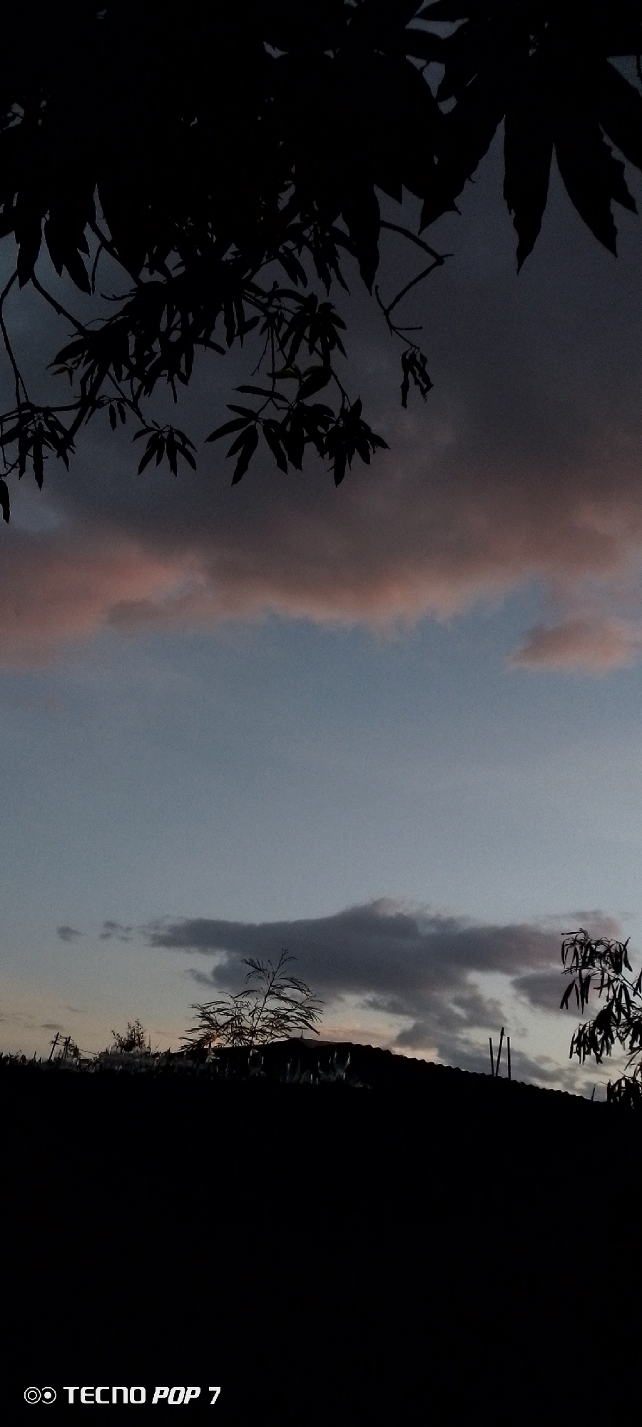 This image is a silhouette of trees and foliage against a twilight sky. The sky is a gradient of blues and grays, with a band of pinkish-orange clouds across the middle. The foreground is dominated by dark, silhouetted shapes of branches and leaves from trees overhead, as well as the dark outline of a rooftop or hill in the lower portion of the image. A faint watermark at the bottom reads "TECNO POP 7". The scene depicts an outdoor environment at dusk, likely in a natural or semi-rural setting, without any visible people or urban infrastructure, thus it is not possible to determine the location in Altagracia, Venezuela from the image itself.