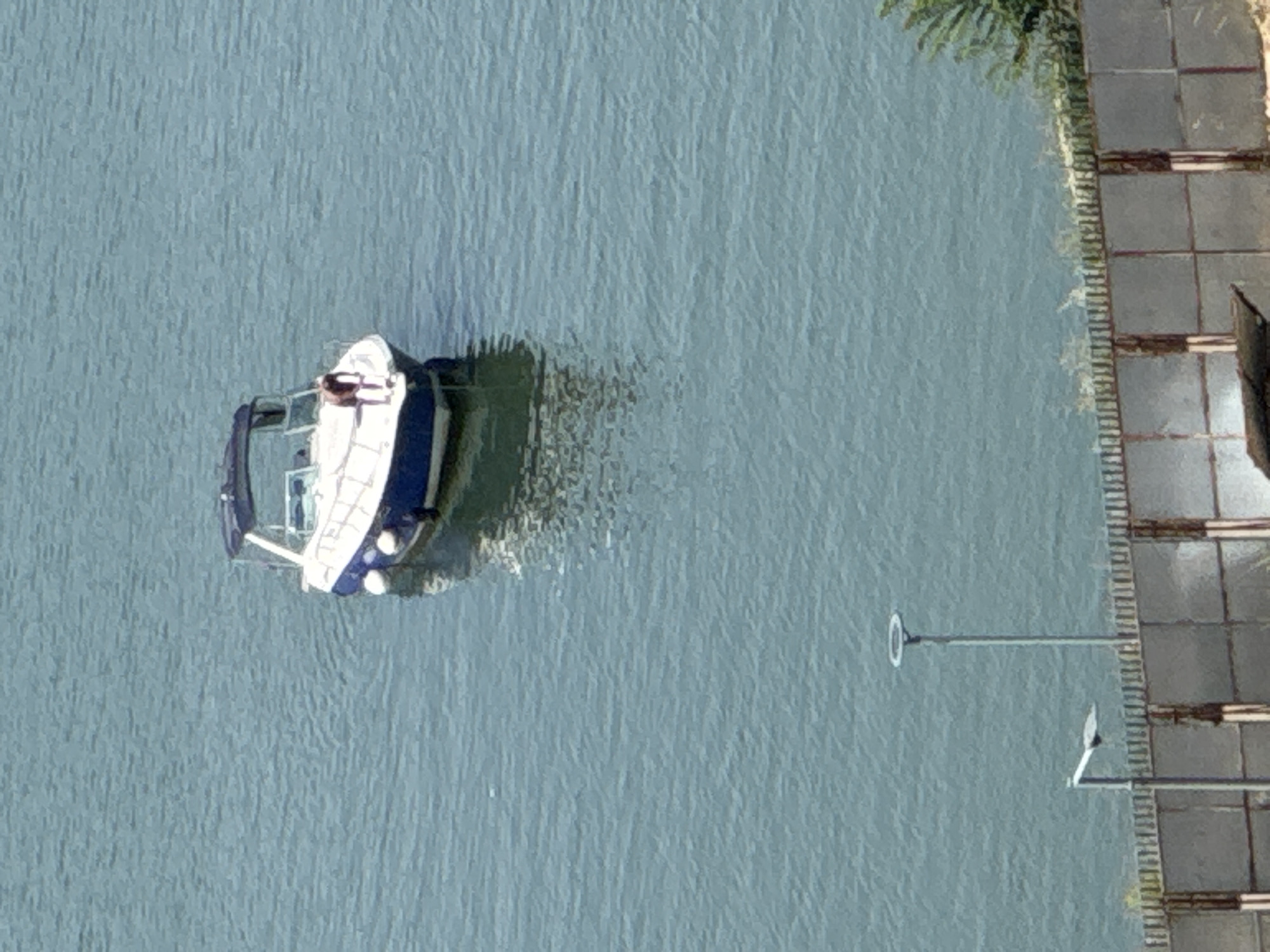 An aerial, medium-shot captures a white and blue motorboat with a dark canopy, anchored in clear, blue water. A person, wearing a dark shirt and light-colored shorts, is leaning over the bow of the boat. In the foreground, a light-colored metal fence with a grid pattern runs horizontally across the bottom of the frame. Behind the fence, two streetlights are visible: one taller streetlight with a circular top, and a shorter one with a rectangular angled light fixture. The water exhibits subtle ripples, and a reflection of the boat is visible beneath it. The overall environment suggests an outdoor scene, likely a waterfront area in Belgrade, Serbia, given the presence of a city infrastructure element like a fence and streetlights.