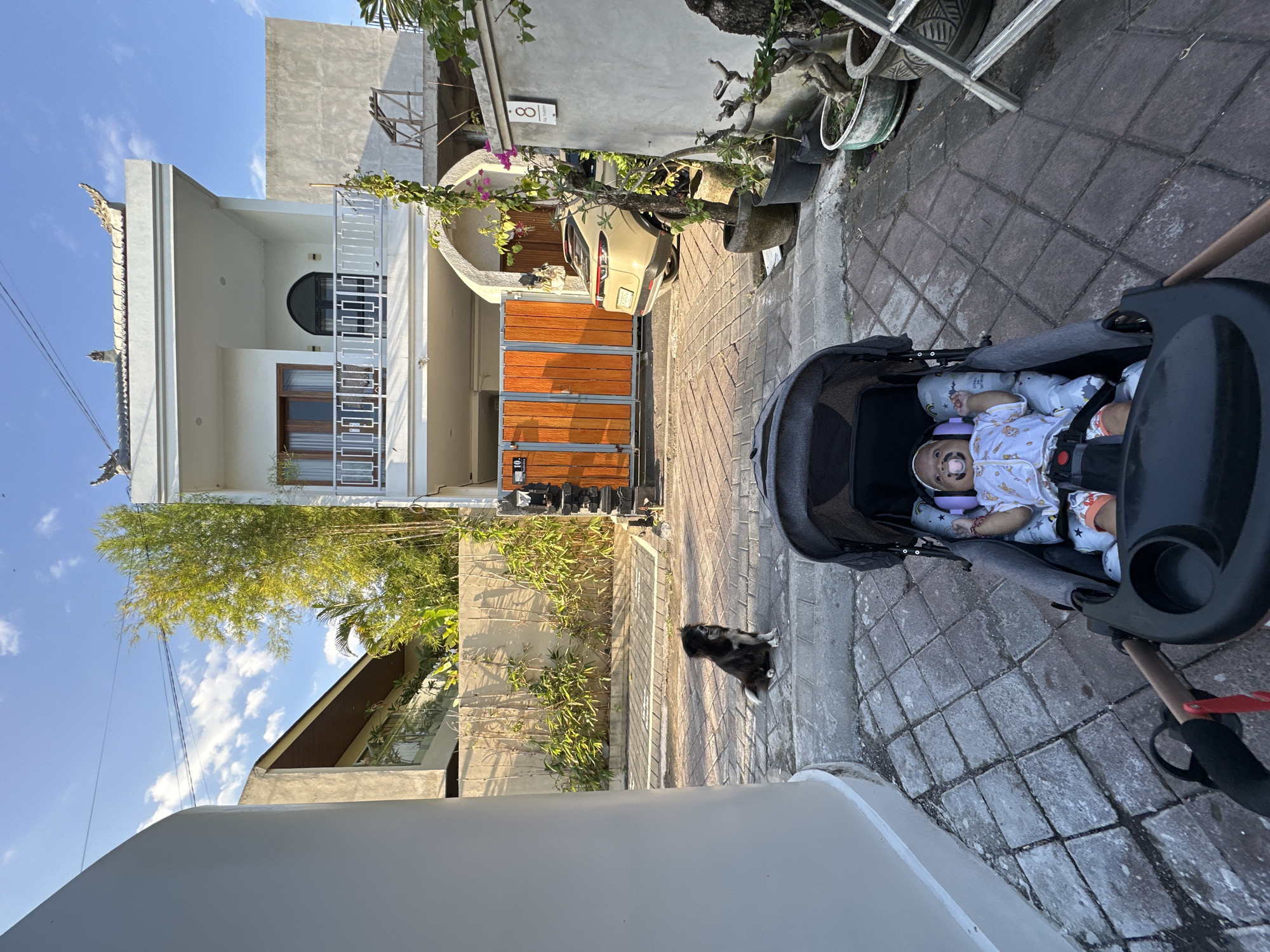 A baby is sitting in a stroller in a paved alleyway with a dog in the background. The baby is wearing a white and orange outfit and has a pacifier in its mouth. The stroller is gray and black. The dog is black and white and appears to be sitting on the ground. The alleyway is lined with plants and a fence. A house is visible in the background. The scene is outdoors during the day.