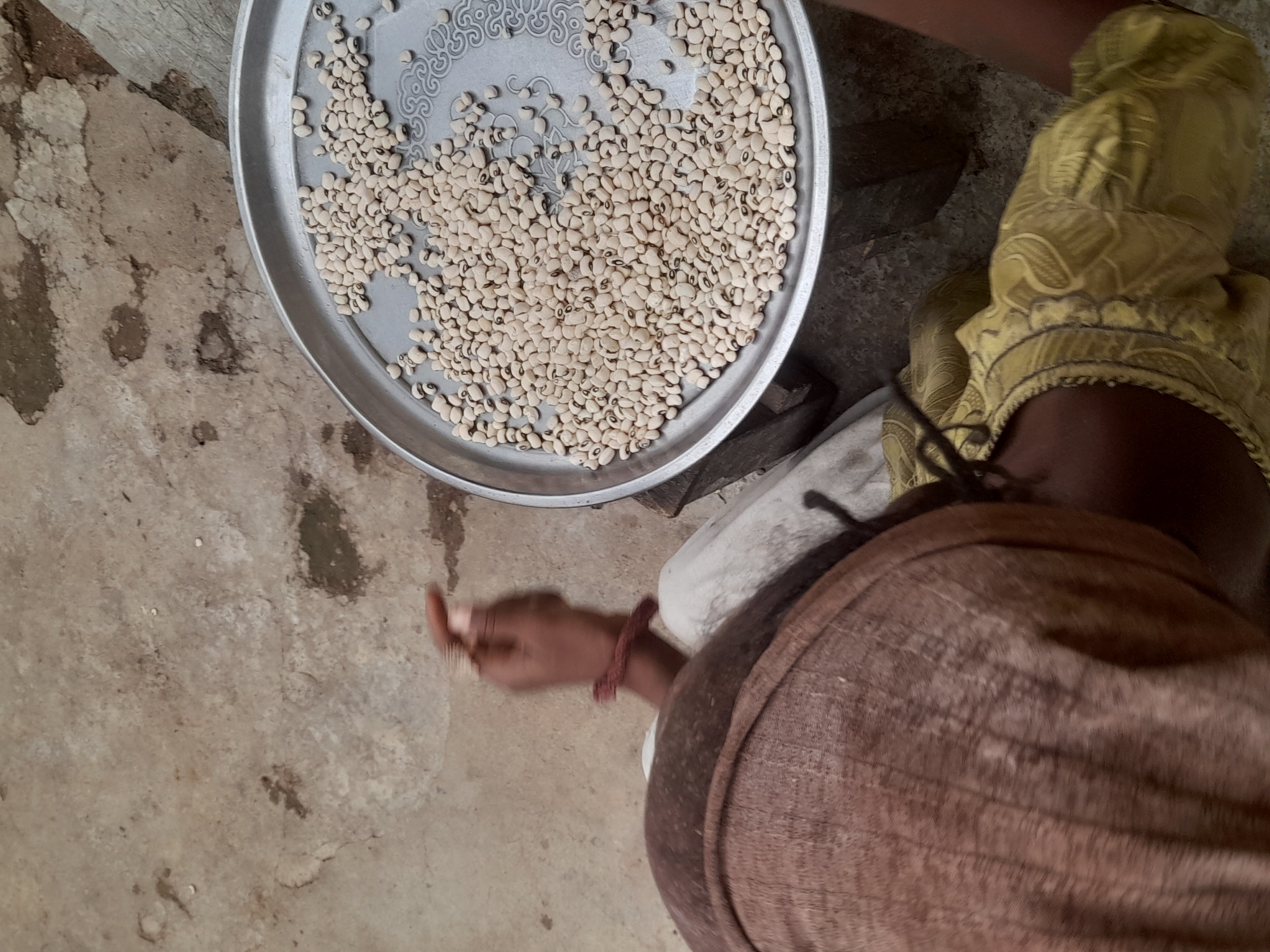 A high-angle shot depicts an individual sorting beans in Akwanga, Nigeria. A silver tray nearly filled with dry, light-colored beans with small dark markings is placed on a surface near the individual. The person, presumably a woman, is wearing a brown wrap and a patterned yellow head covering. Her left hand is visible, with a red bracelet on her wrist. The surrounding environment consists of a light brown textured floor or ground.
