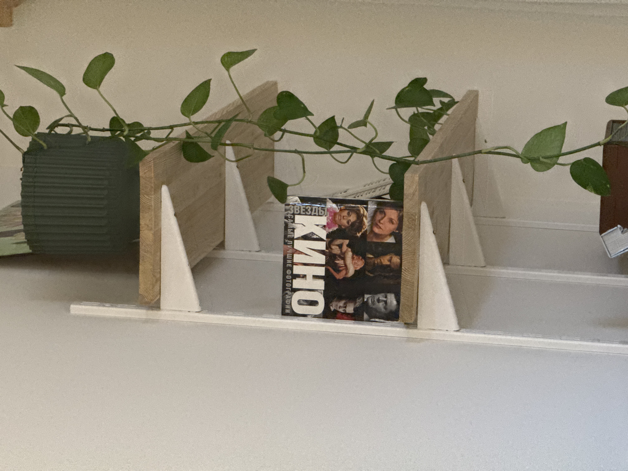 A slightly elevated indoor shot captures a segment of a shelf or ledge adorned with decorative items, set against a light-colored wall. On the left, a dark green ribbed pot houses a vibrant green trailing plant, likely Pothos, which gracefully extends across the shelf. Its long vines with heart-shaped leaves weave between and over several light-colored wooden dividers. These dividers, supported by white triangular bases, create compartments on the plain light grey/white shelf surface.
Centered between two wooden dividers stands a book or magazine with a dark cover. The cover features a collage of several faces, including prominent female figures in the upper and middle sections, and a male face at the bottom. Visible text on the cover is in Russian, prominently displaying "КИНО" (KINO), which means "cinema" or "movie". Smaller, vertically oriented text reads "ЛУЧШИЕ ФОТОГРАФИИ" (LUCHSHIE FOTOGRAFII), translating to "Best Photographs", and "ЗВЕЗДЫ" (ZVEZDY), meaning "Stars", suggesting a publication about film celebrities. The scene is static, well-lit, and depicts an organized personal space in Izhevsk, Russia.