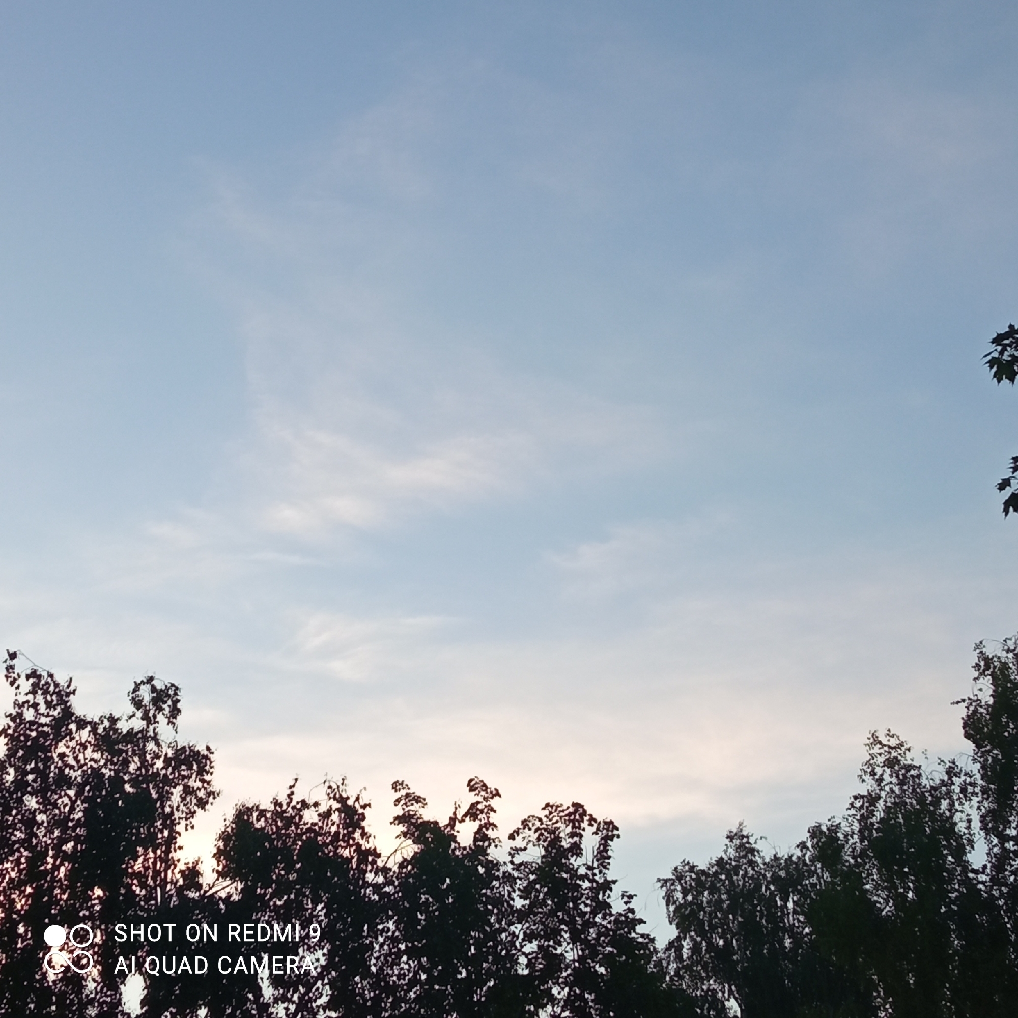 The image depicts a daytime sky over Chaikovsky, Russia, as indicated by the timestamp in the image. The sky is light blue, with a few thin, white clouds. Silhouetted trees are visible in the lower portion of the frame. "SHOT ON REDMI 9 AI QUAD CAMERA" text is at the lower left corner of the image.