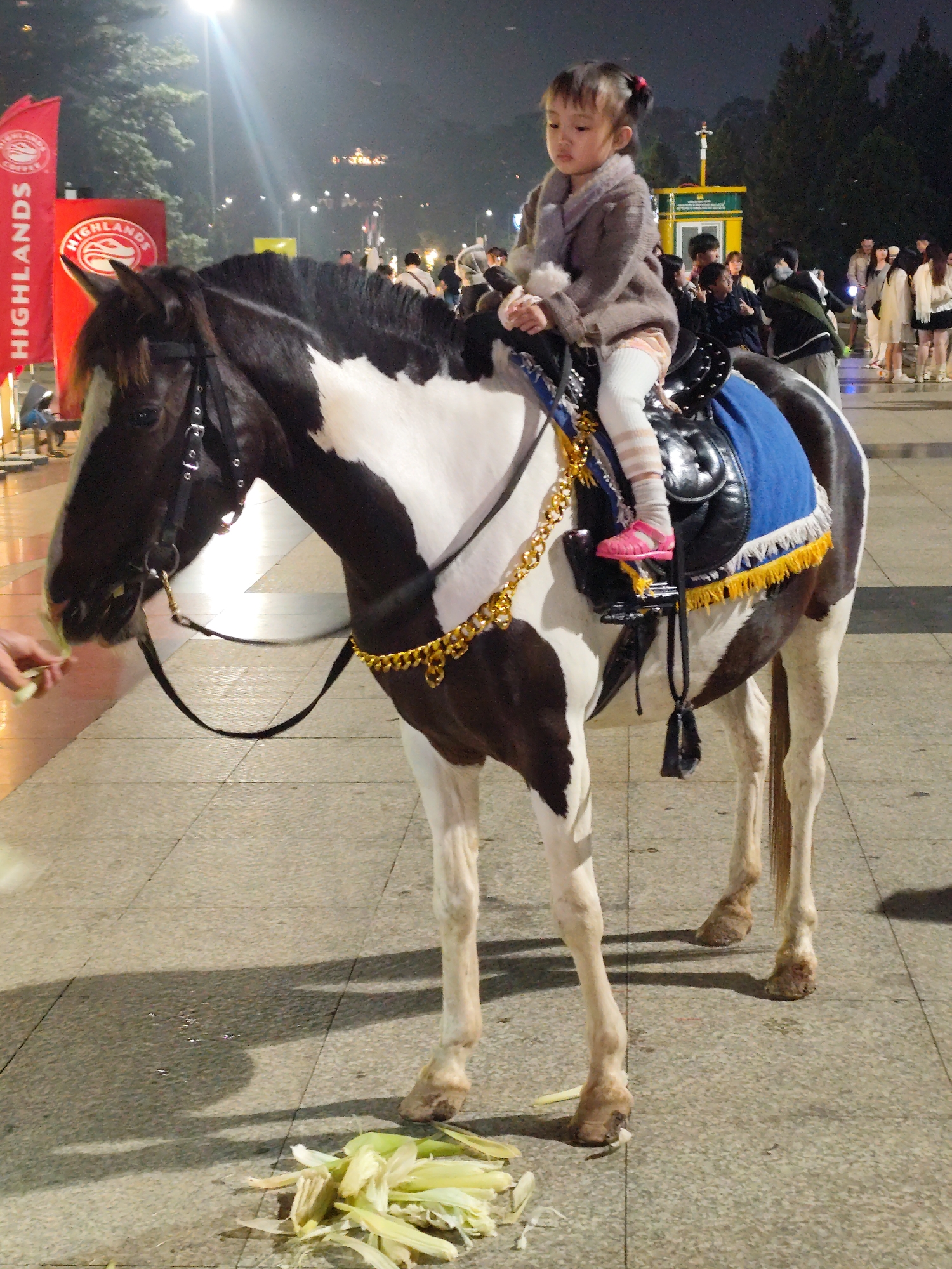 At night in Da Lat, Vietnam, a young child sits atop a black and white pinto horse on a paved pedestrian surface. The child, appearing to be a toddler, wears a brown sweater, a grey scarf, striped white tights, and pink sandals, with her hair tied in pigtails. She holds onto the saddle, which is dark-colored and features a blue blanket with a gold fringe. The horse wears a bridle and a decorative gold chain around its neck.
In the foreground, a person's hand offers corn husks to the horse, while a pile of husks lies on the ground nearby, suggesting the horse is being fed. Bright artificial lighting from streetlights illuminates the scene, casting long shadows and creating glare. In the background, other people are visible, indicating a public and possibly busy area. Tall trees and distant lights further define the nighttime, urban setting. Red banners with the visible text "HIGHLANDS" are prominent on the left side of the image, likely identifying a local business or event. The overall scene depicts a common tourist activity where children can ride horses.