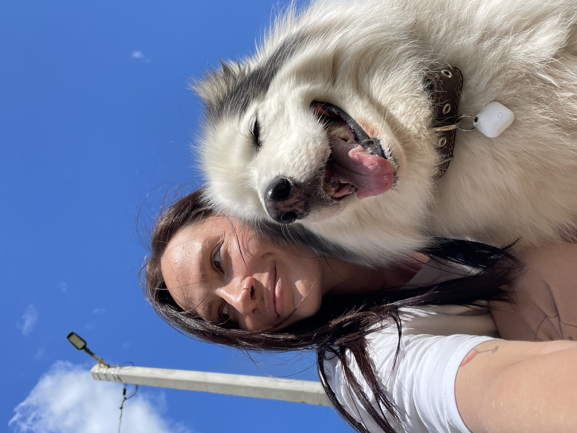 A person and a dog are in the foreground, with a bright blue sky and a street lamp in the background. The person, with long dark hair and a white shirt, is looking to the left with a slight smile. The dog, a fluffy white and black breed, has its eyes closed and mouth open, appearing to pant or smile. The dog is wearing a brown collar with a white tag. The scene suggests a warm, sunny day. The location is identified as Izhevsk, Russia.
